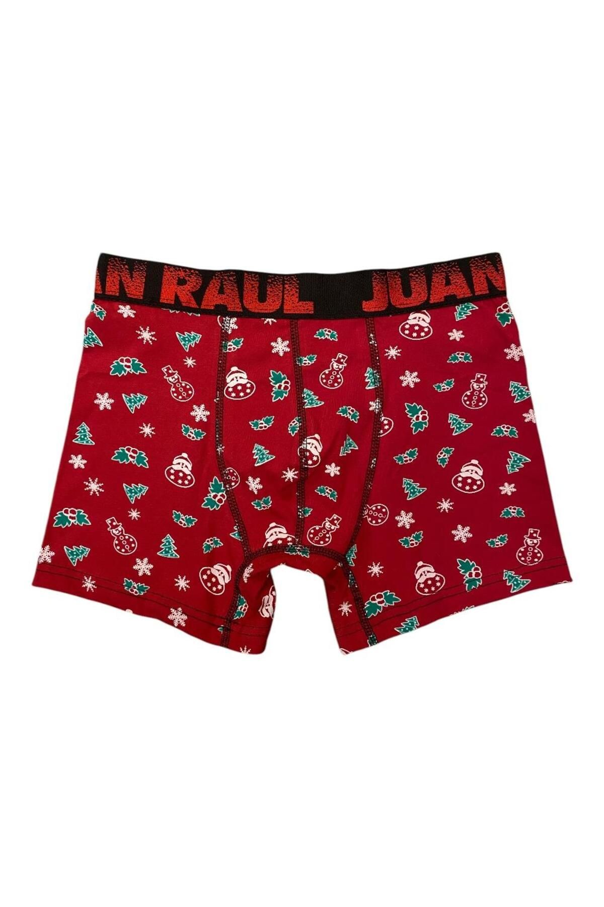 Juan Raul Noel Desenli ErkekBoxer- Db201