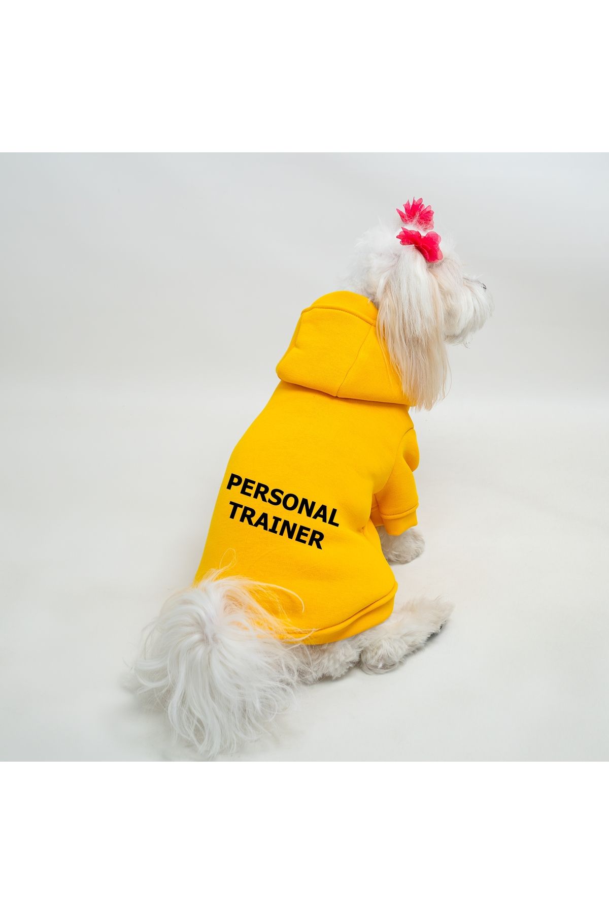 Kedi & Köpek Kıyafeti Sweatshirt - Personal Trainer Baskılı Sarı Sweatshirt