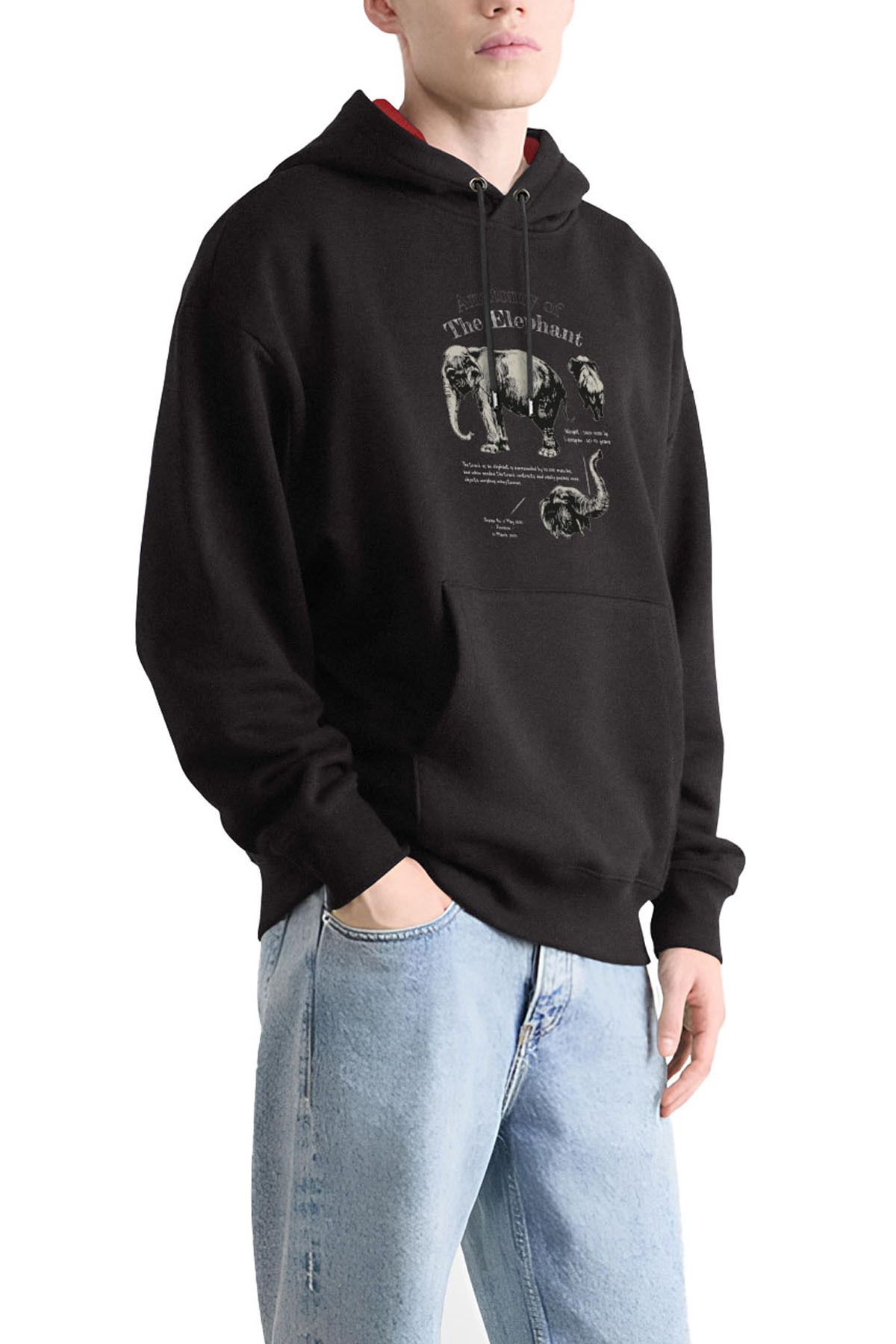 Anatomy Elephant Tasarım Kapşonlu Sweatshirt