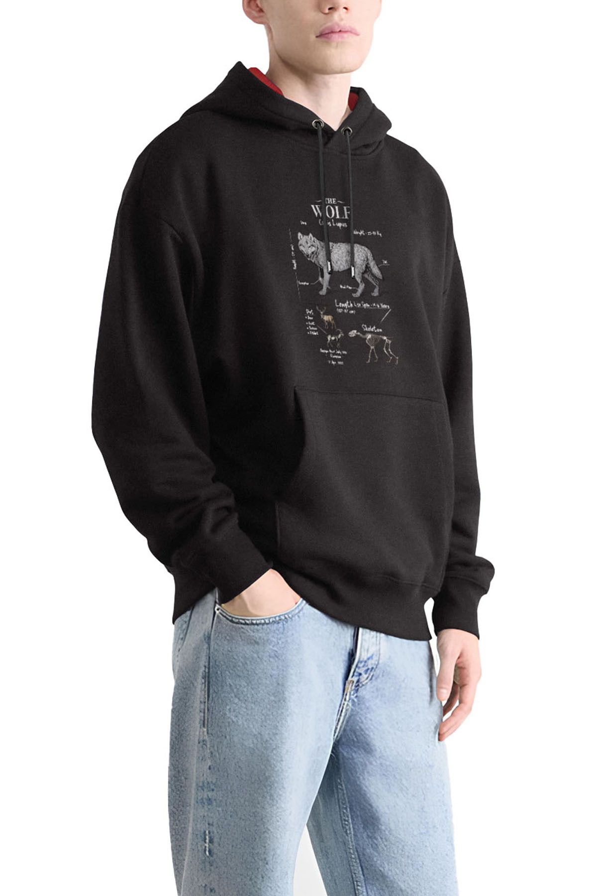 Anatomy Wolf Tasarım Kapşonlu Sweatshirt