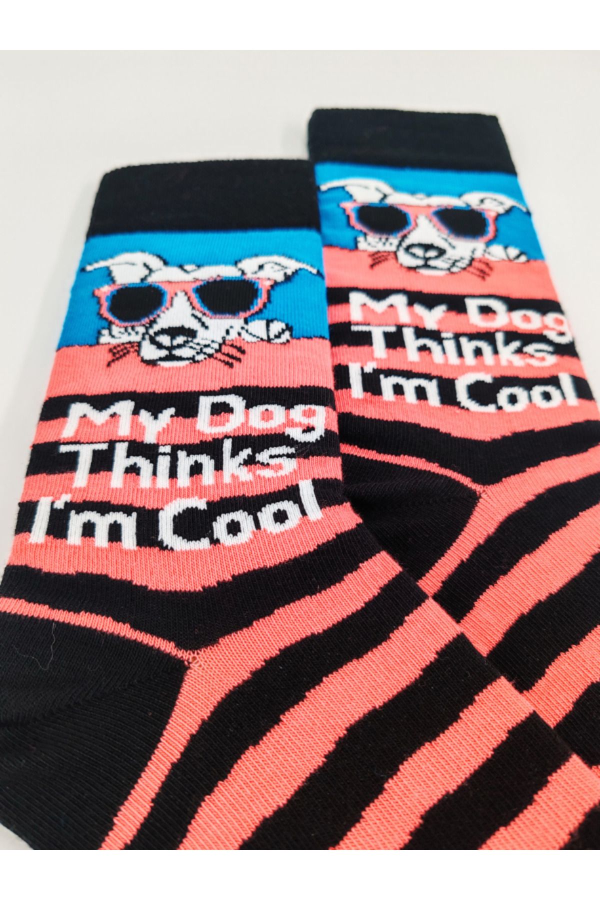 İthal Özel Seri Unisex My Dog Thinks I'm Cool Colorful Renkli Desenli Soket Çorap