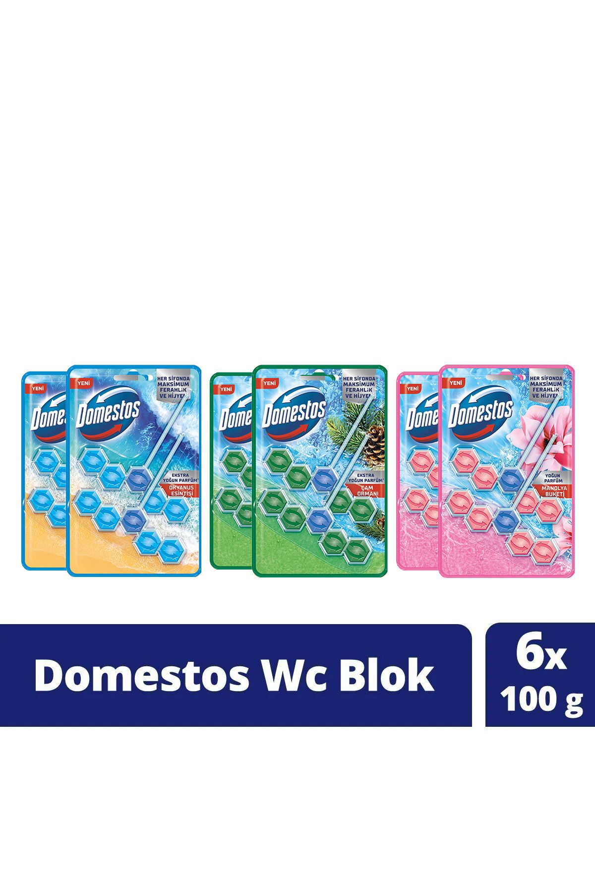 DomestosTuvalet Bloğu 100 GÇam Ormanı 100 X2...