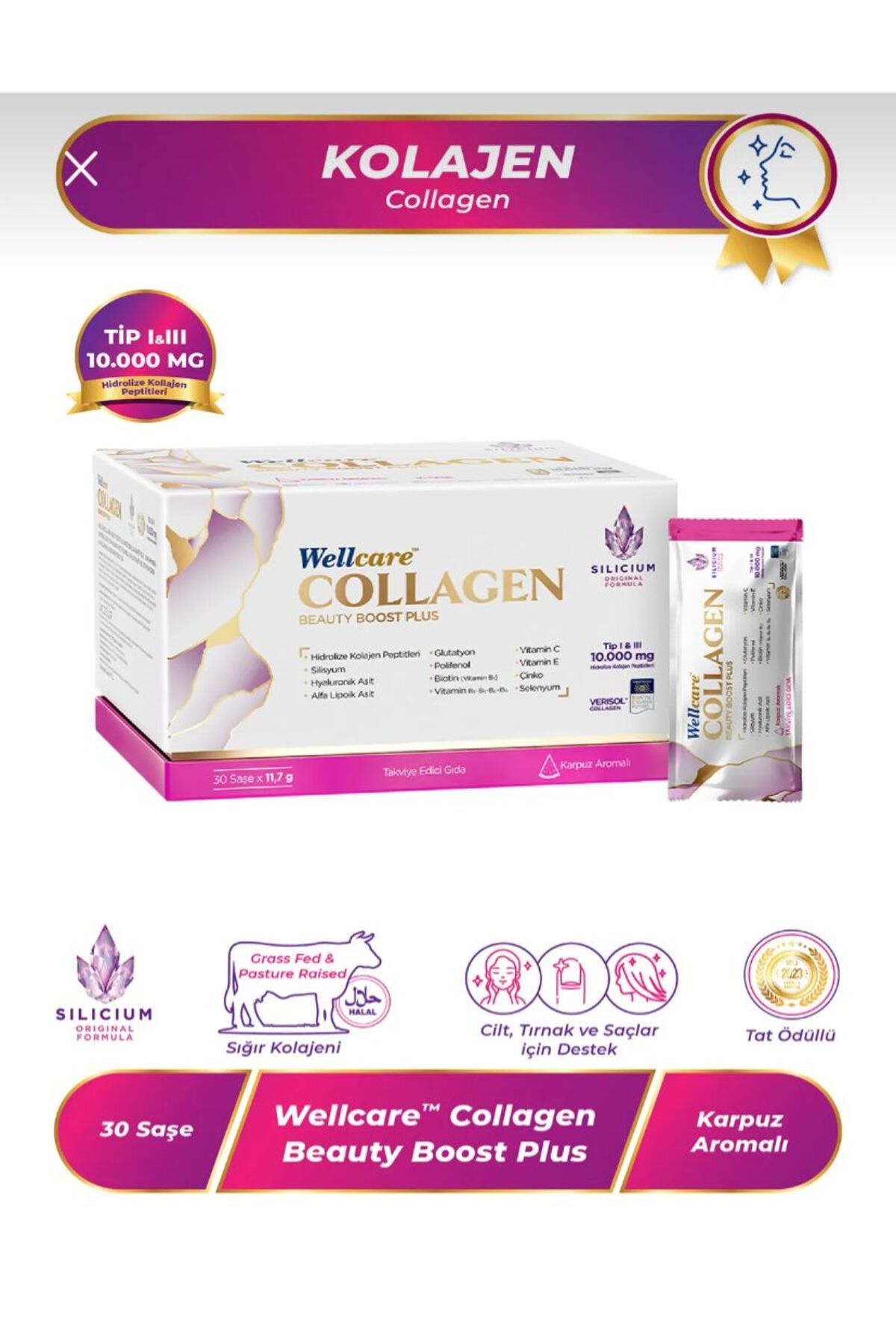 WellcareKOLAJEN TİP1-TİP3ŞASE