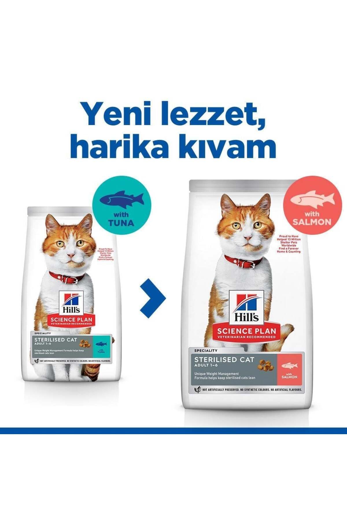 SCIENCE PLAN Somonlu Kısırlaştırılmış Kedi Maması 3 Kg