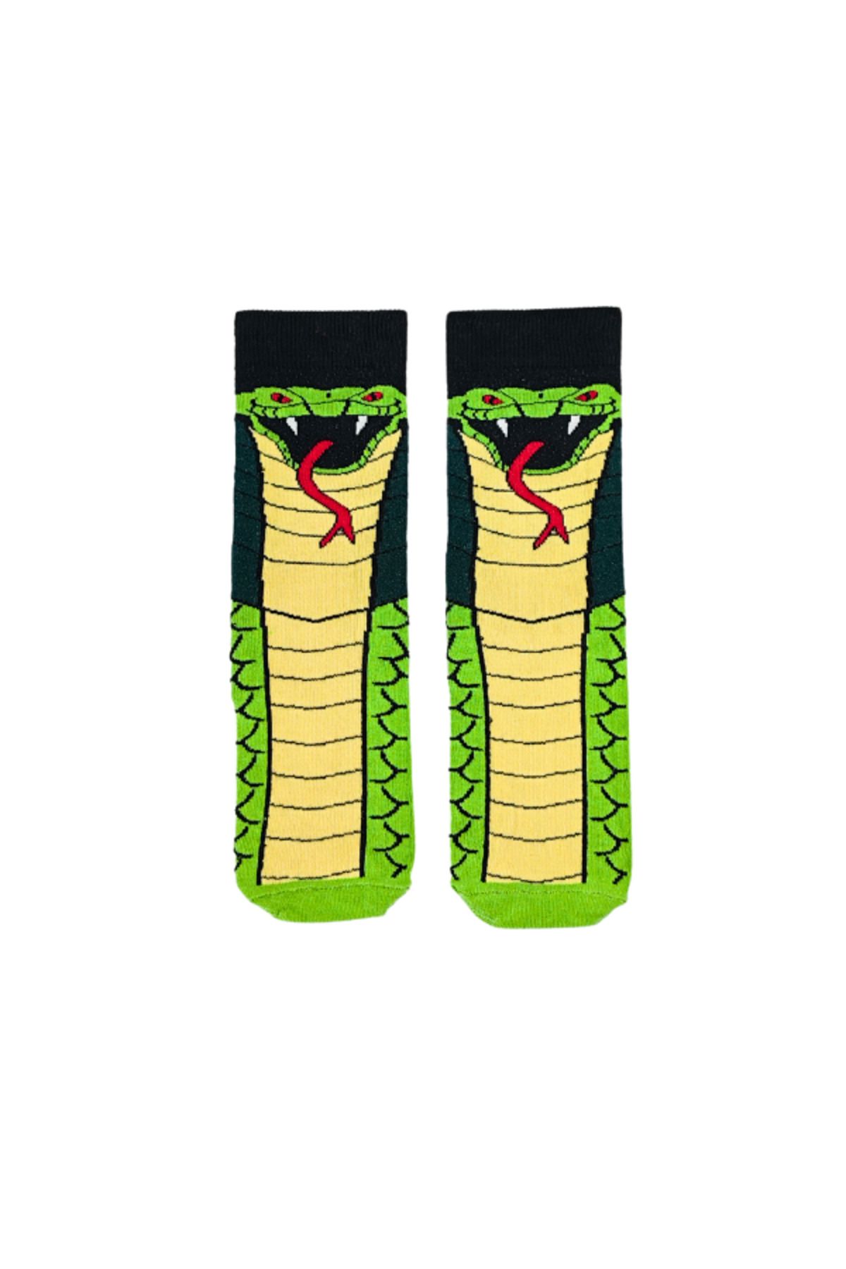 Unisex Özel Seri Green Snake Colorful Renkli Desenli Soket Çorap