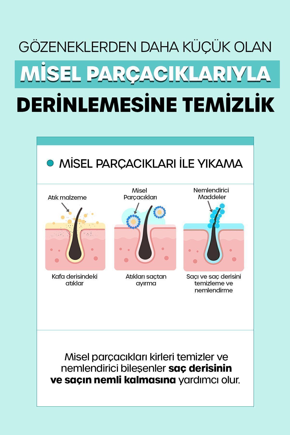 Dr. Banggiwon Yağlı Saçlar Için Sebum Dengeleyici Şampuanı 1000 ml