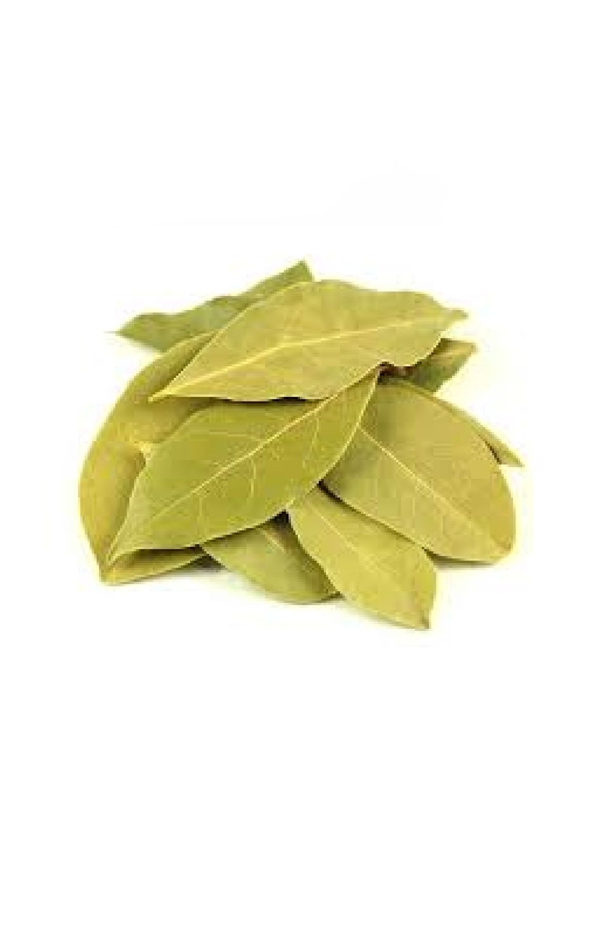 Defne Yaprağı (LAURUS NOBİLİS) 100g