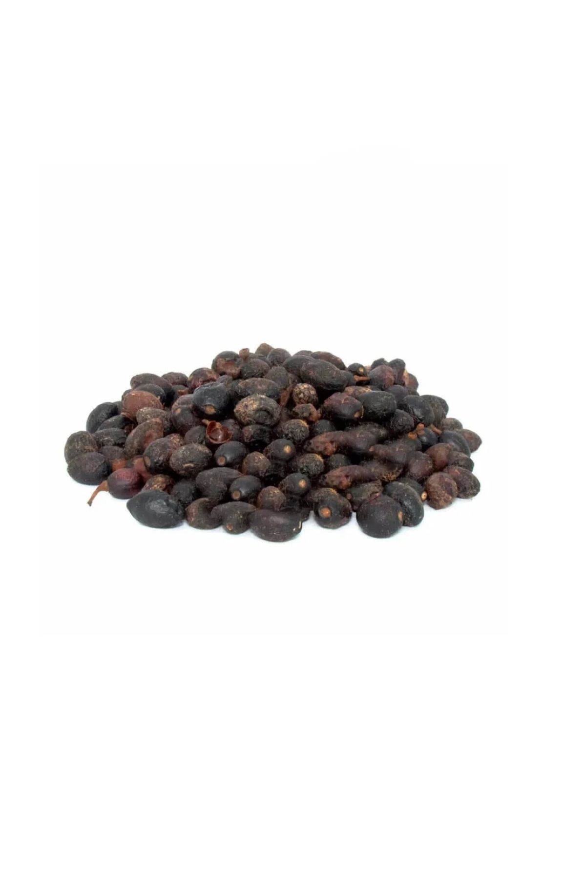 Defne Tohumu (LAURUS NOBİLİS) 250 G