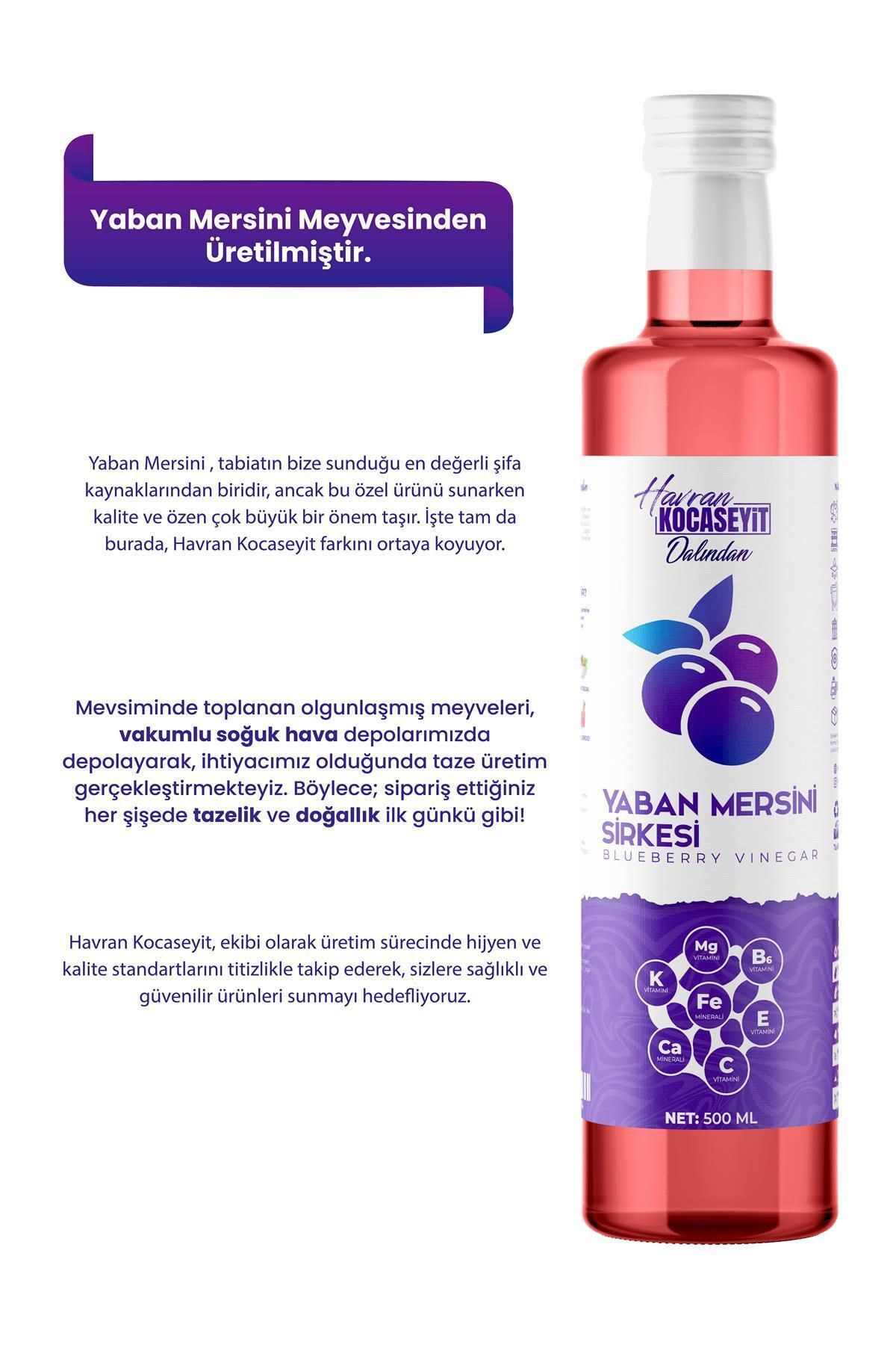 Doğal Antioksidan Yaban Mersini Sirkesi 500 ml