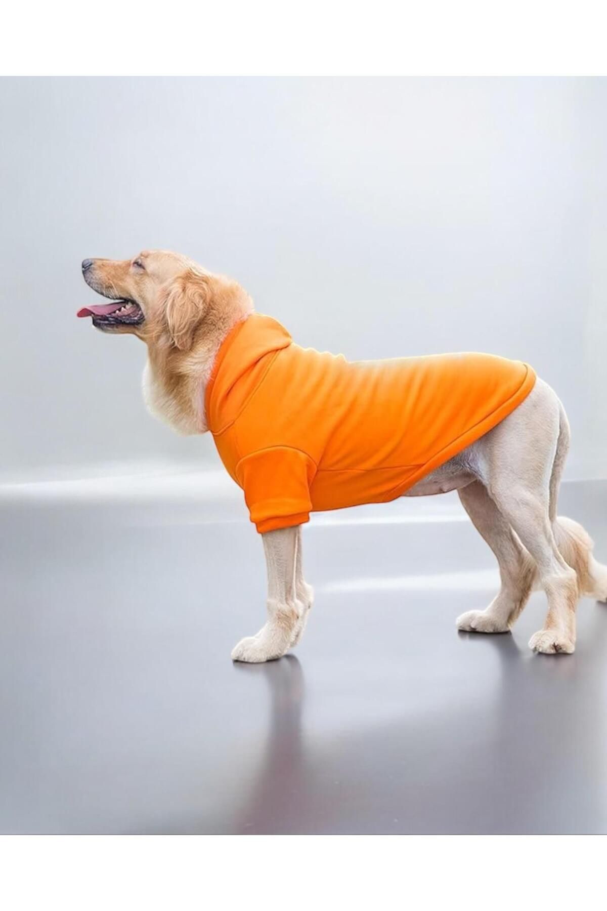 Orange Kapşonlu Sweatshirt, Orta ve Büyük Irklar İçin