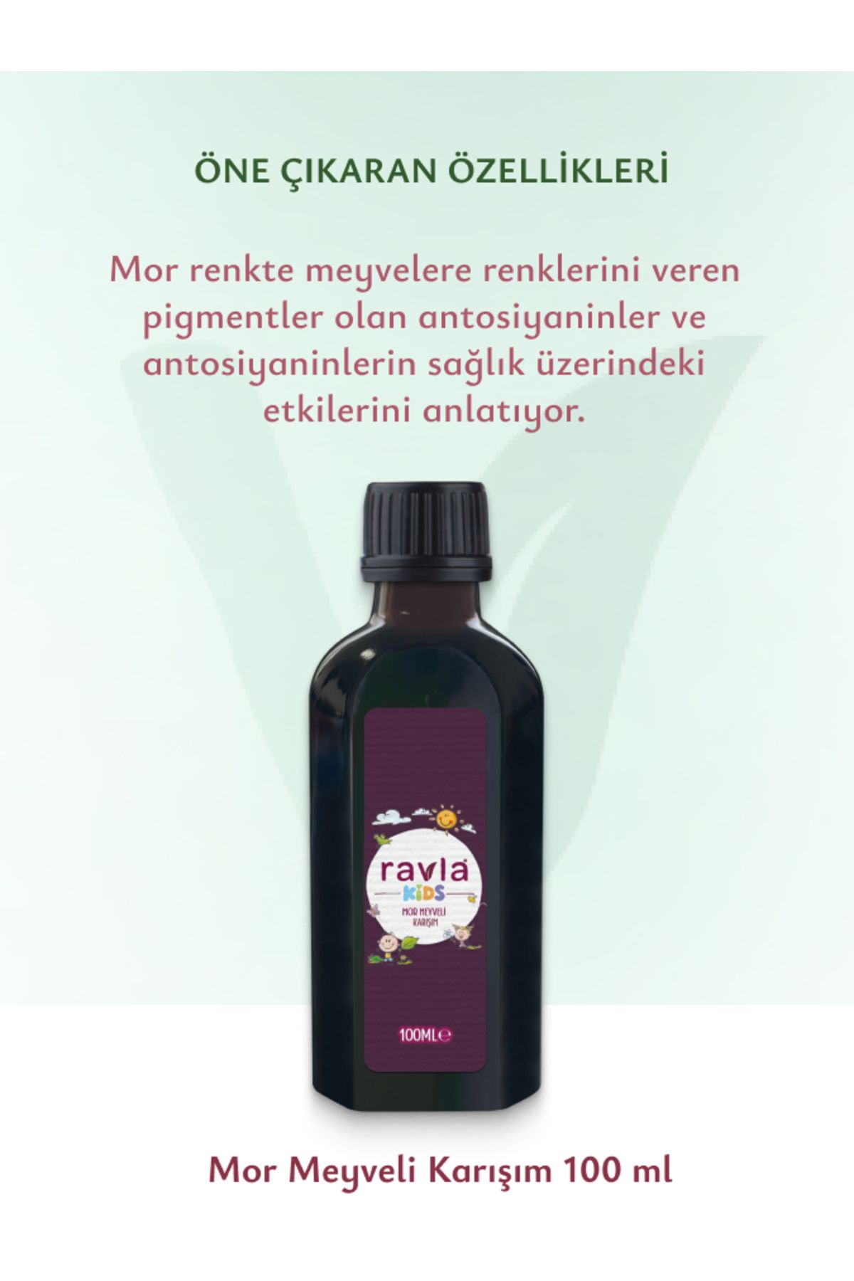 Mor Meyveli Karışım - 100ml (AĞIR METAL ANALİZLİ)