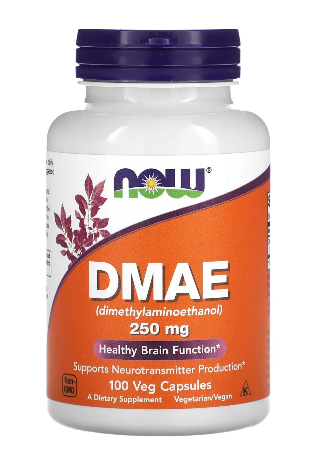 Now Foods DMAE, 250 mg, 100Veg Capsules usa v...