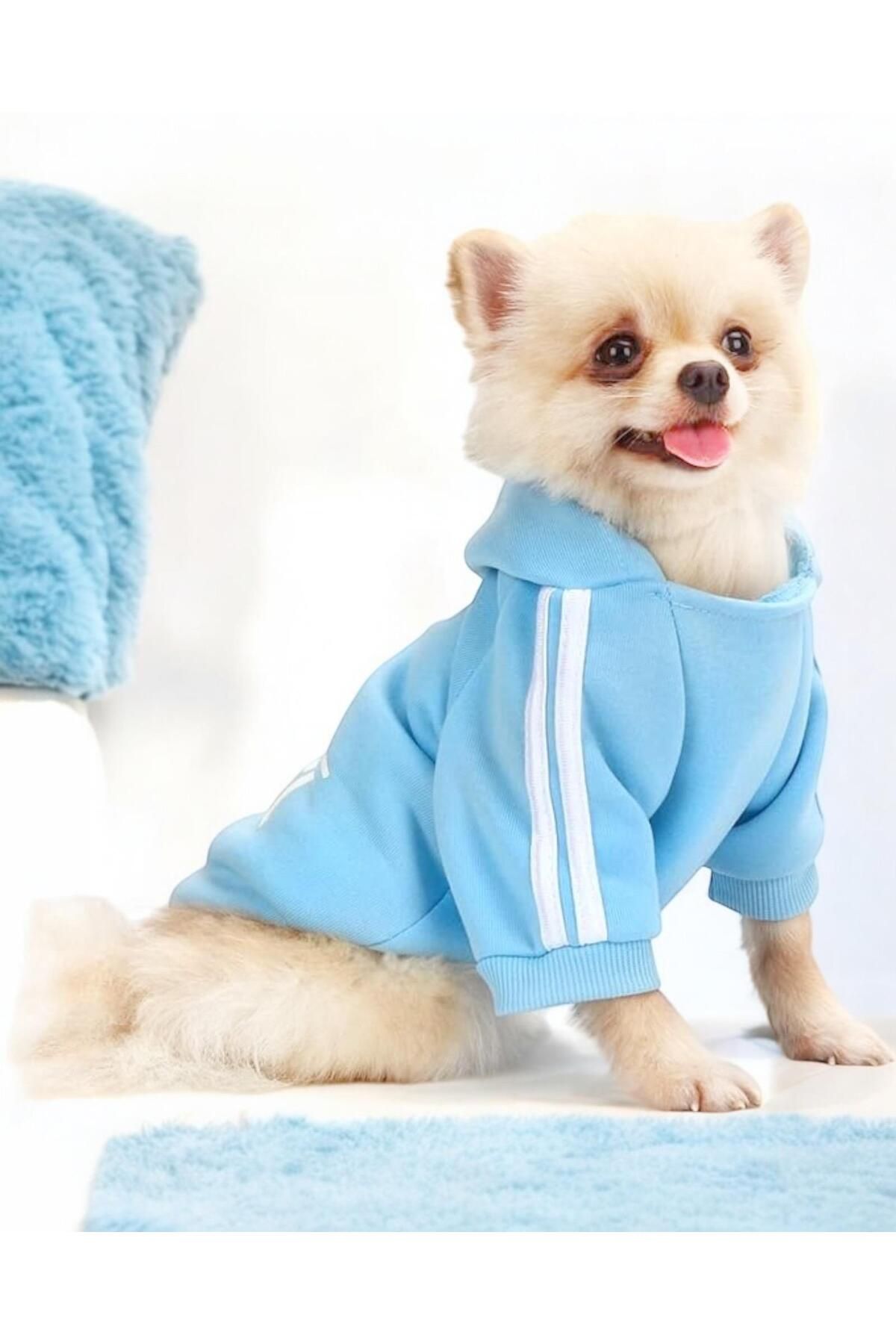 KemiqueBaby Blue AdidogKapşonlu Sweatshirt Kö...