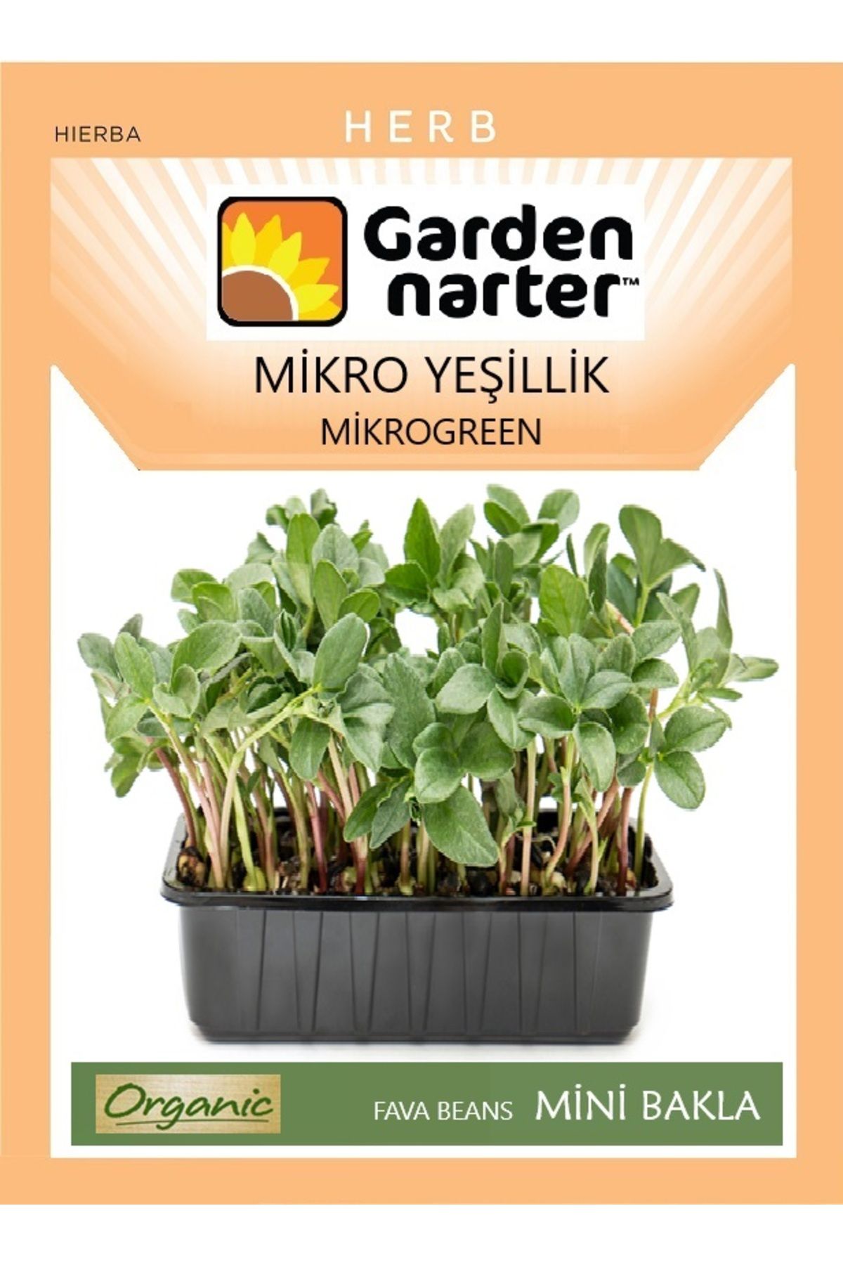 GARDEN NARTER Mikro YeşillikIçin Microgreen O...