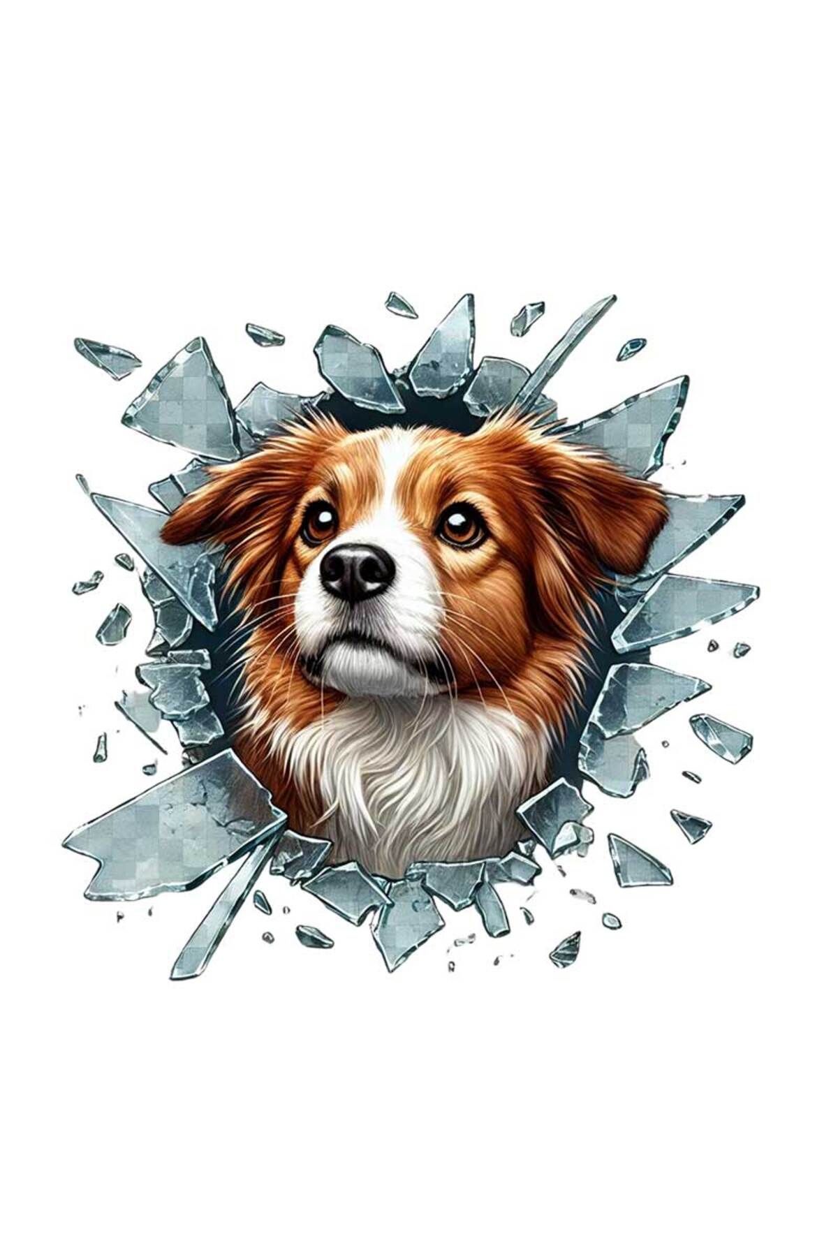 Araç Kedi Köpek Sticker