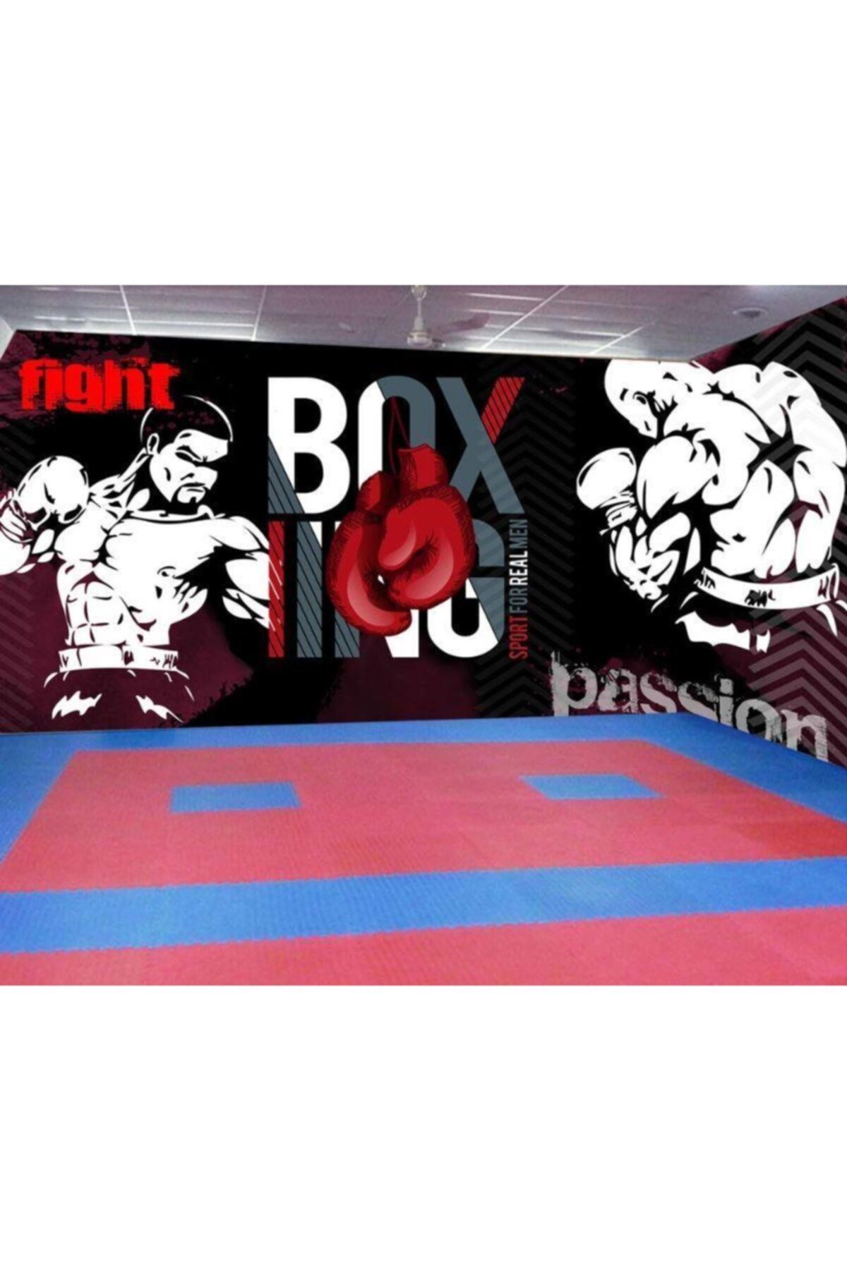 Renkli Duvarlar Box Spor Salonu Wallpaper Özel Tasarım Duvar Kağıdı 4.00x2.30