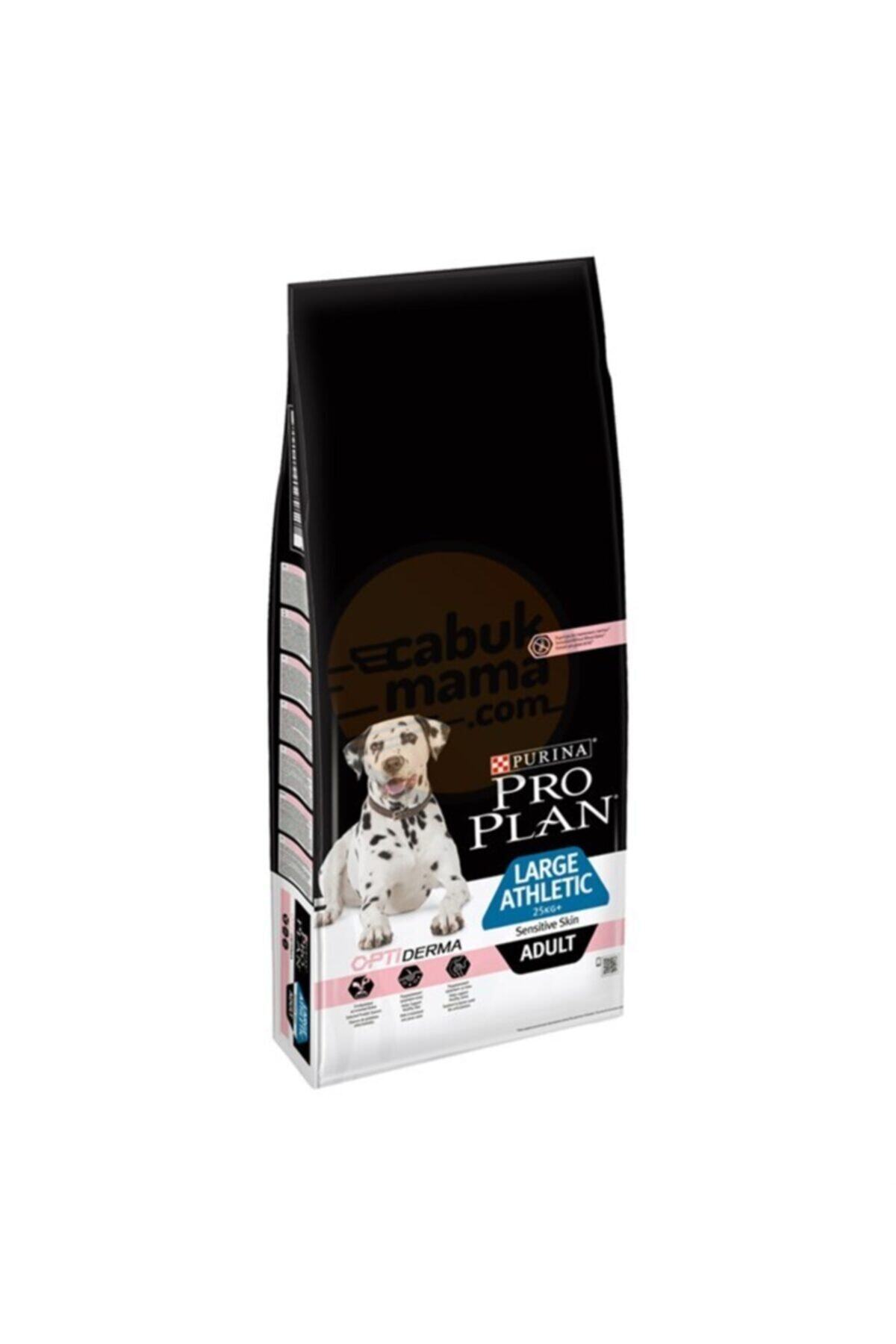 Proplan Pro Plan Sensitive Büyük Irk Somonlu Yetişkin Köpek Maması - 14 Kg