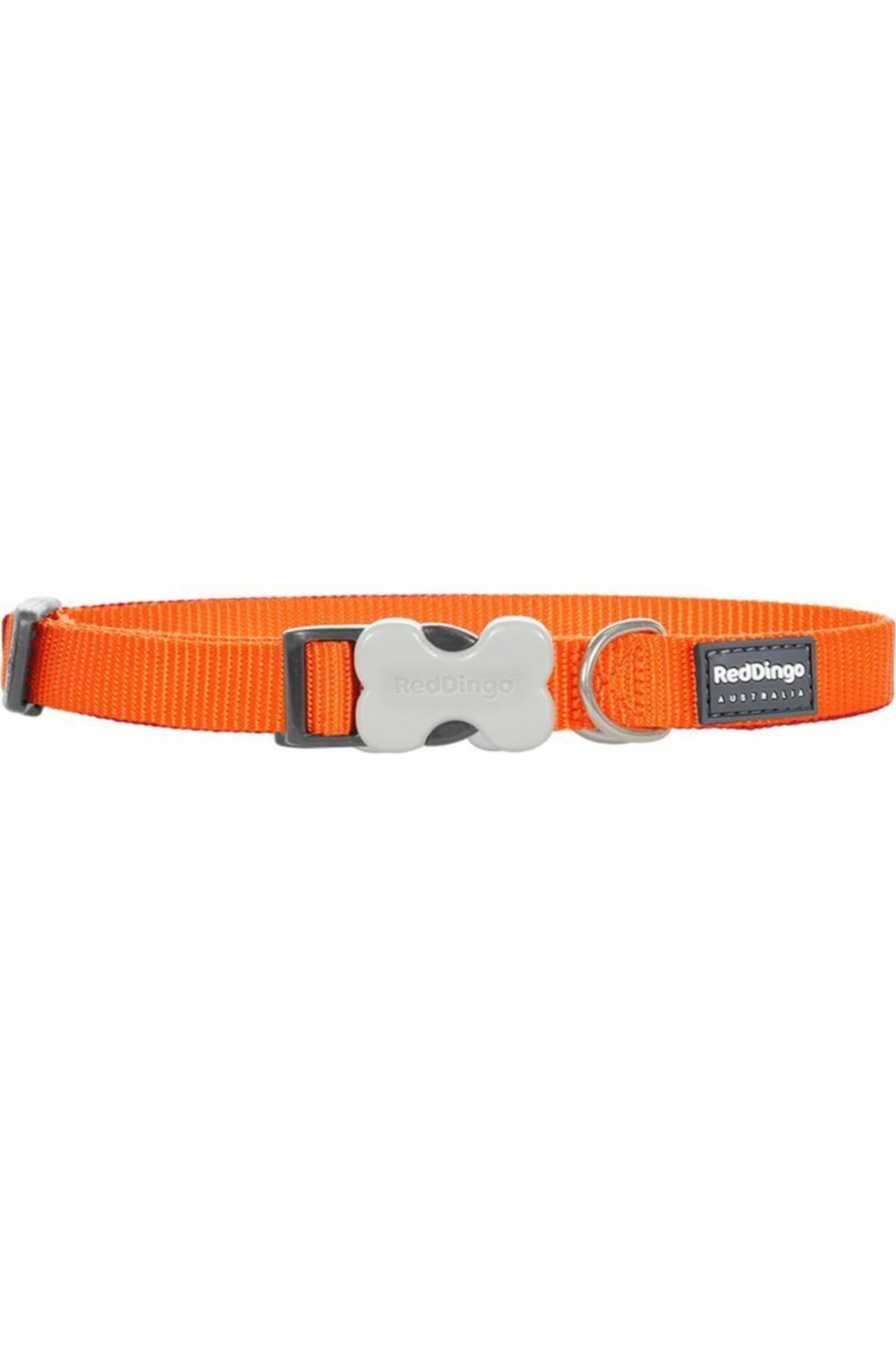 RedDingo Klasik Turuncu Köpek Boyun Tasması 15 Mm