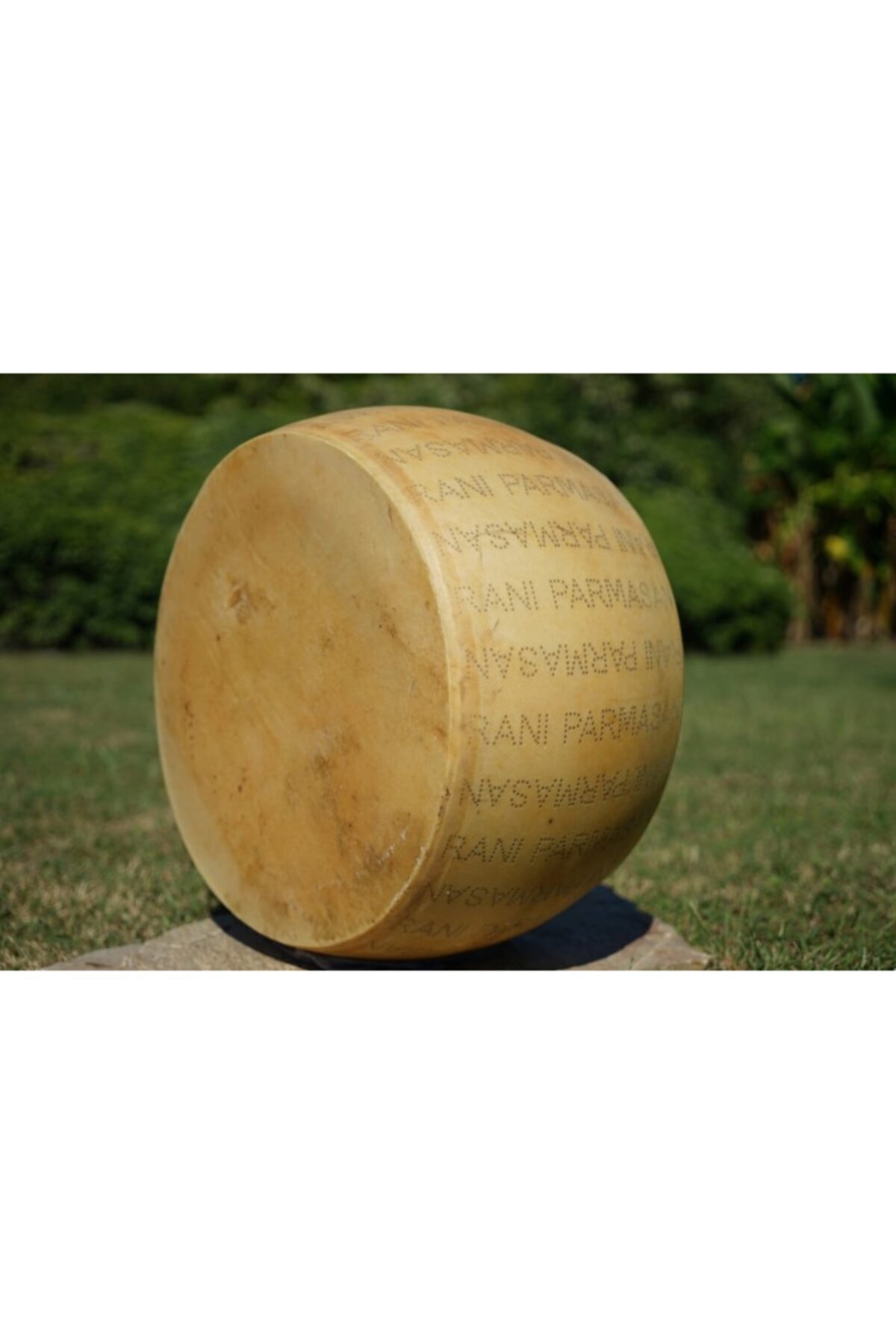 Rani Çiftliği Parmesan Blok (240 Gr -260 Gr)