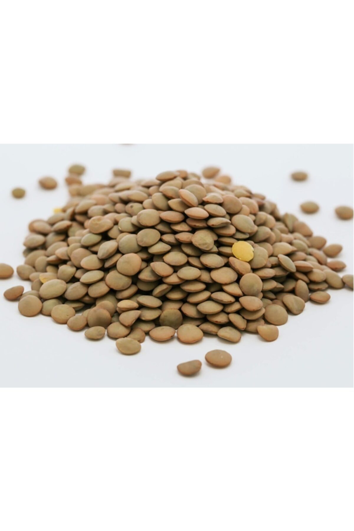 Organikmarketten Yeşil Mercimek (5 Kg)