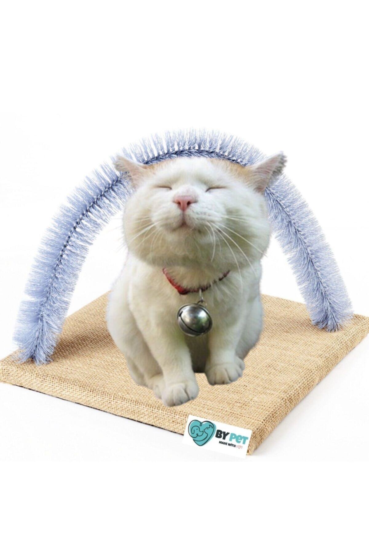 BYPET Fırçalı Kedi Kaşınma , Sürtünme Ve Masaj tahtası-lila