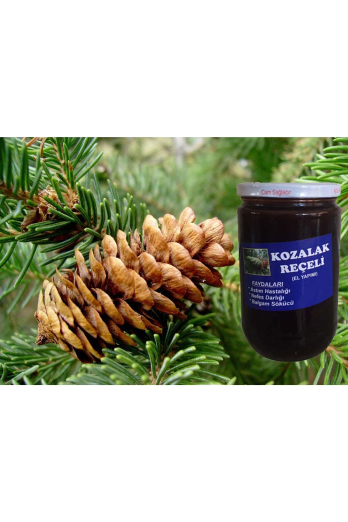 DEMİRCİ DOĞAL Ev Yapımı Kozalak Reçeli 800 Gr (odun Ateşinde Doğal Yöntemlerle Yapılmış)