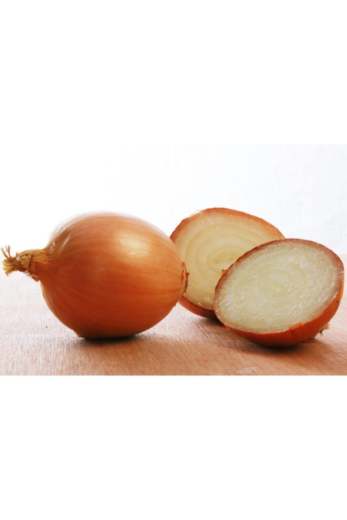 amasya Kuru Soğan 5 Kg