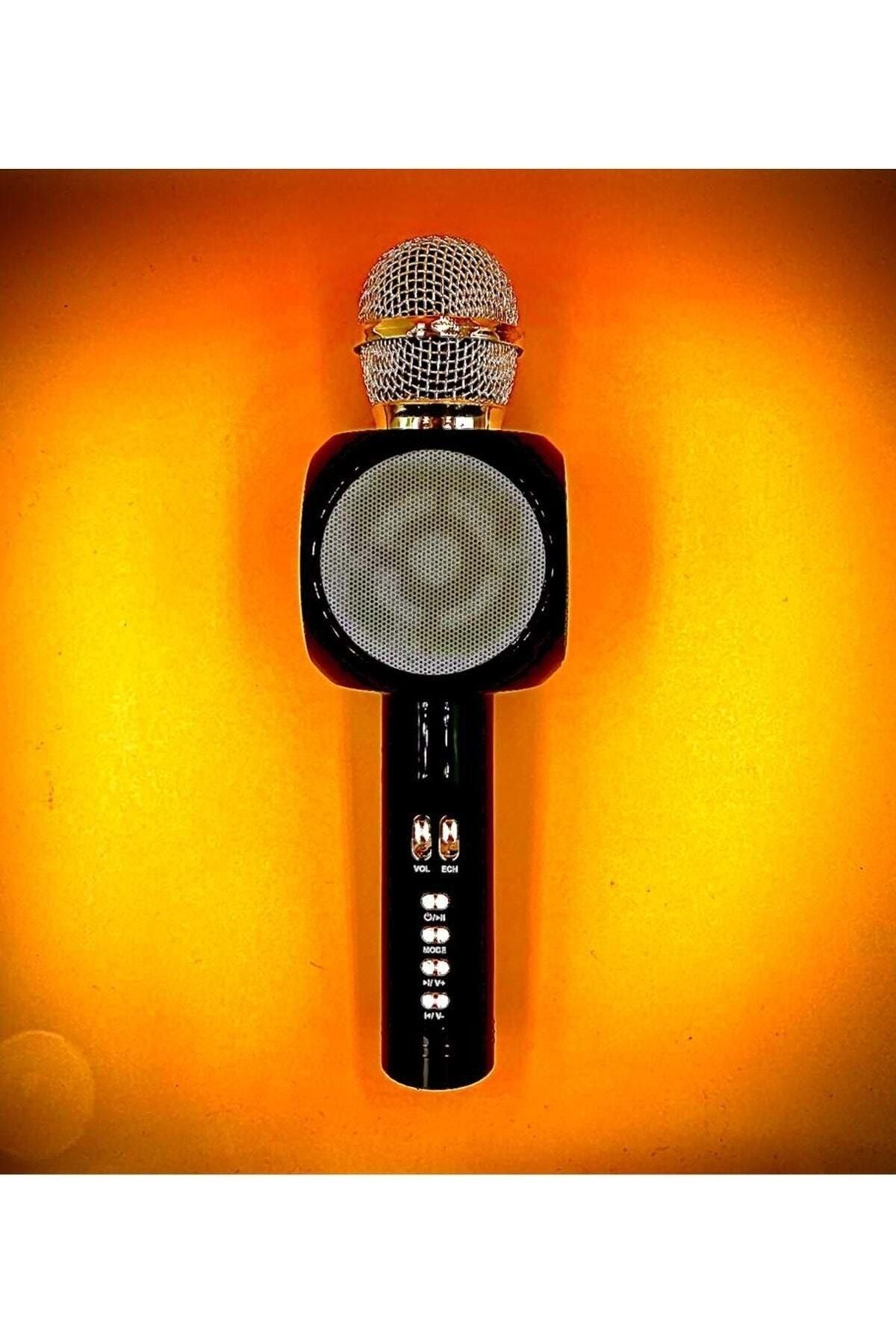 Kılıf Mahzeni Işıklı Karaoke Mikrofon Ws-1816