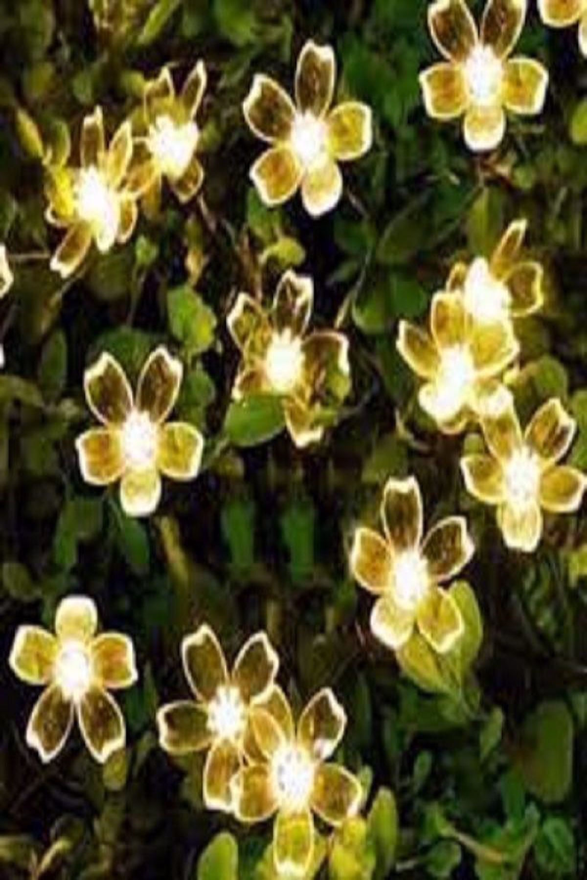fikirstore 50 Ledli Güneş Enerjili Dış Mekan Solar Çiçekli Led Işık Dekoratif 5 Metre Çiçekli Led