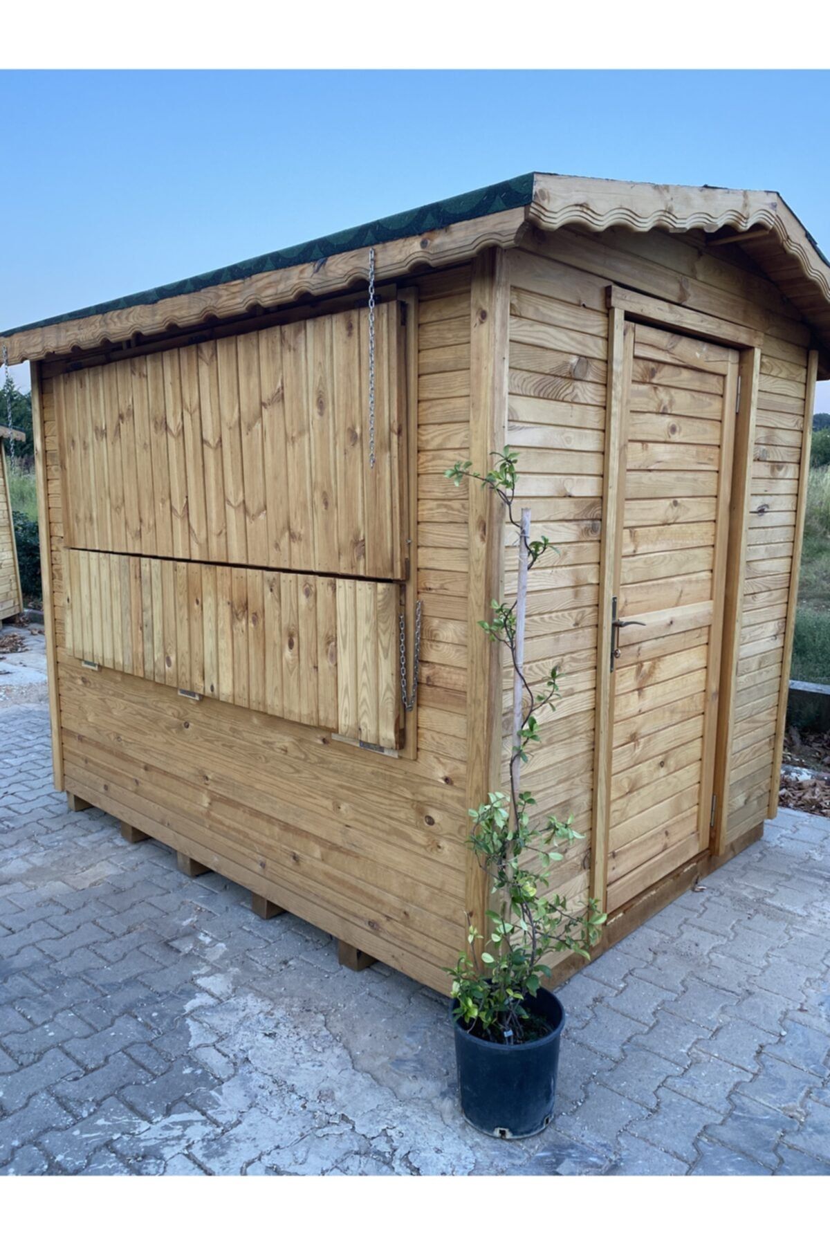 NATURUS Arap Yasemini
