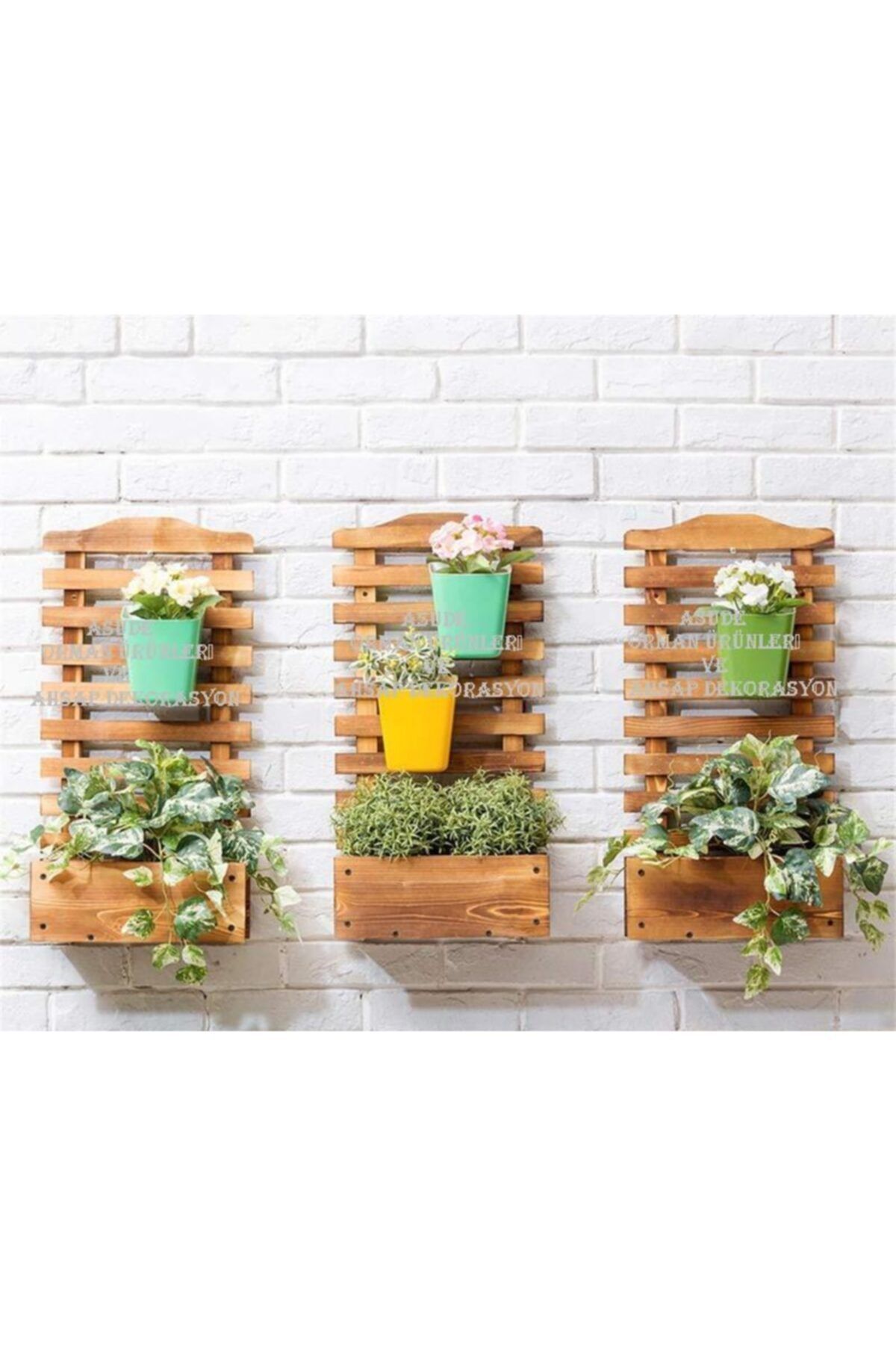 ASUDE Duvar Için Saksı (3 Lü Set )