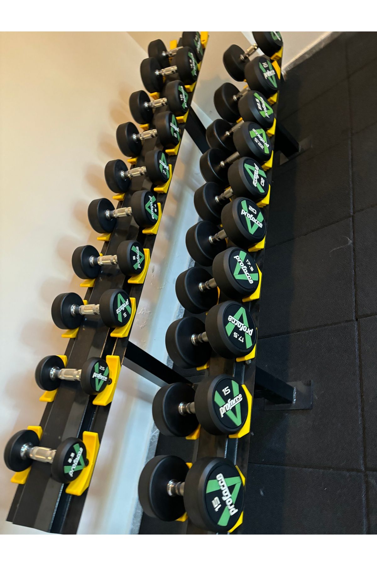 Proforce DUMBELL SET