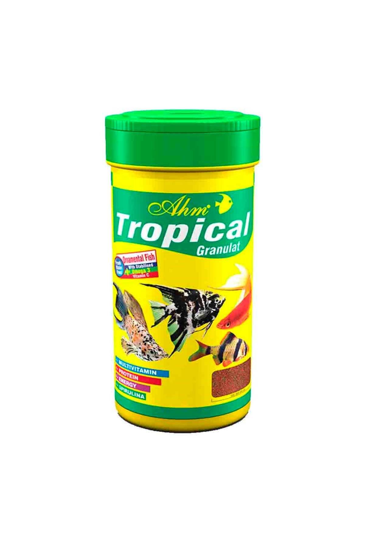 Ahm Tropical Granulat BalıkYemi 100ml