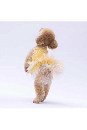 Sarı Polka-Dot Kedi Köpek Elbisesi - Kedi Köpek Kıyafeti Image 0