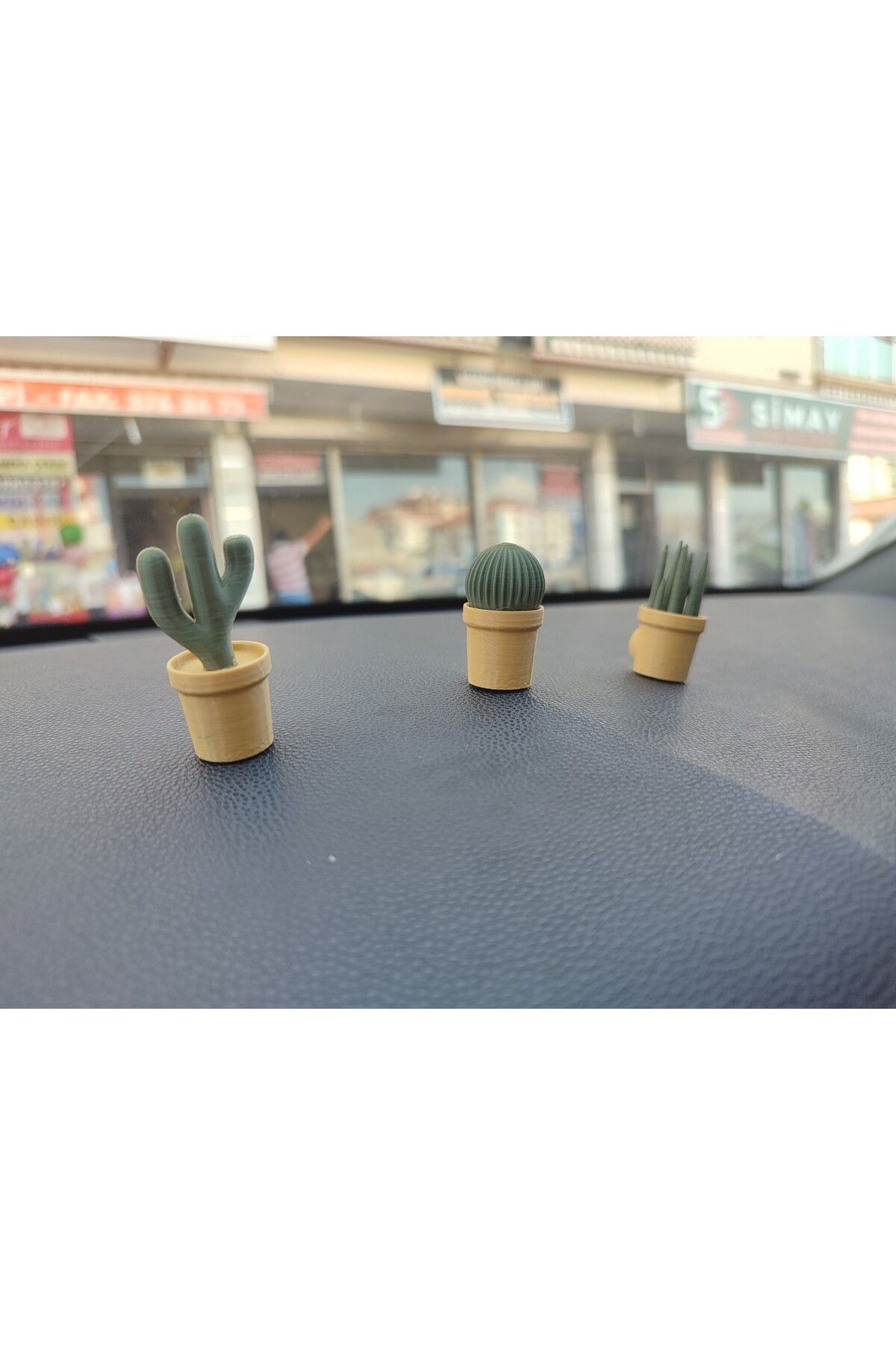 Otomobil Torpido Süsü Kaktüs Sukulent Cactus Succulent Süsü 3'lü Ürün