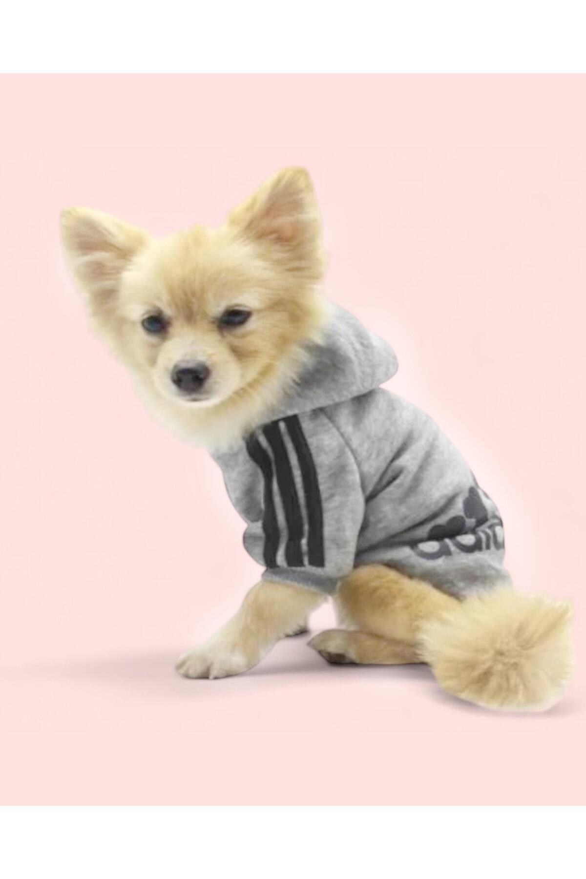 Gri Adidog Kapşonlu Sweatshirt Köpek Kazağı