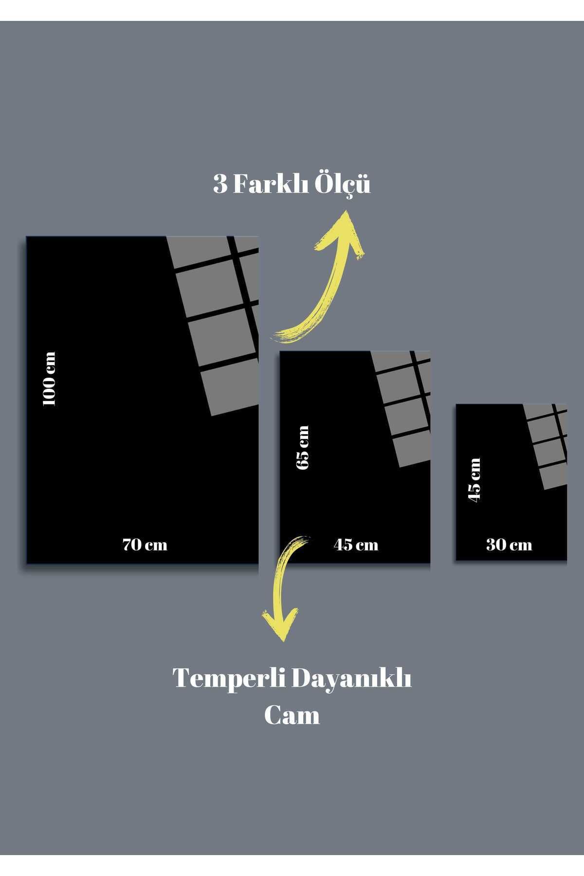 Çiçek Sokak Cam Tablo 74