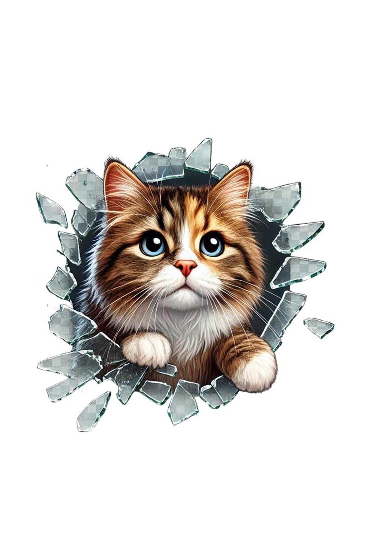 Araç Kedi Köpek Sticker