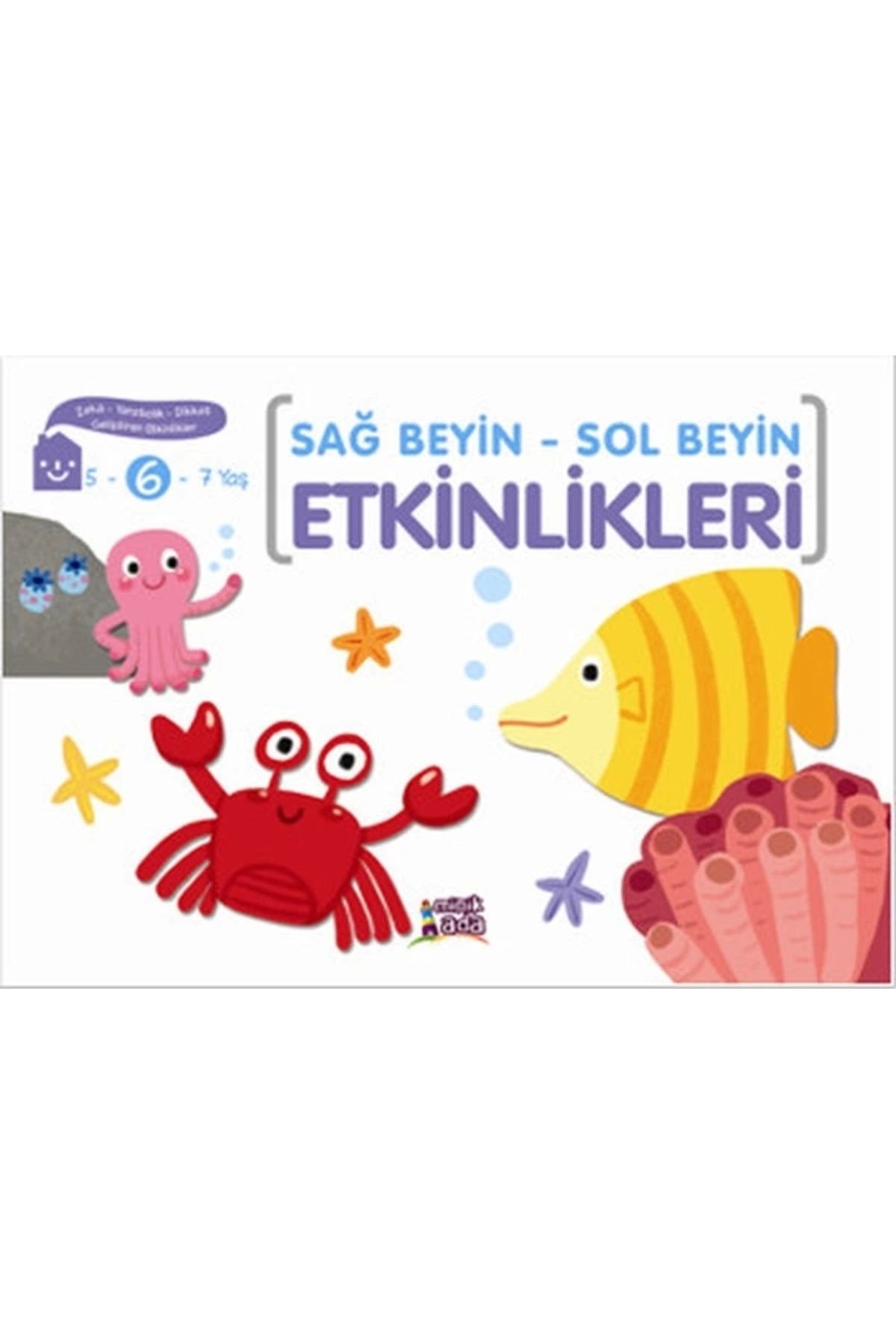 Minik Ada YayınlarıSağ Beyin- Sol Beyin Etkin...