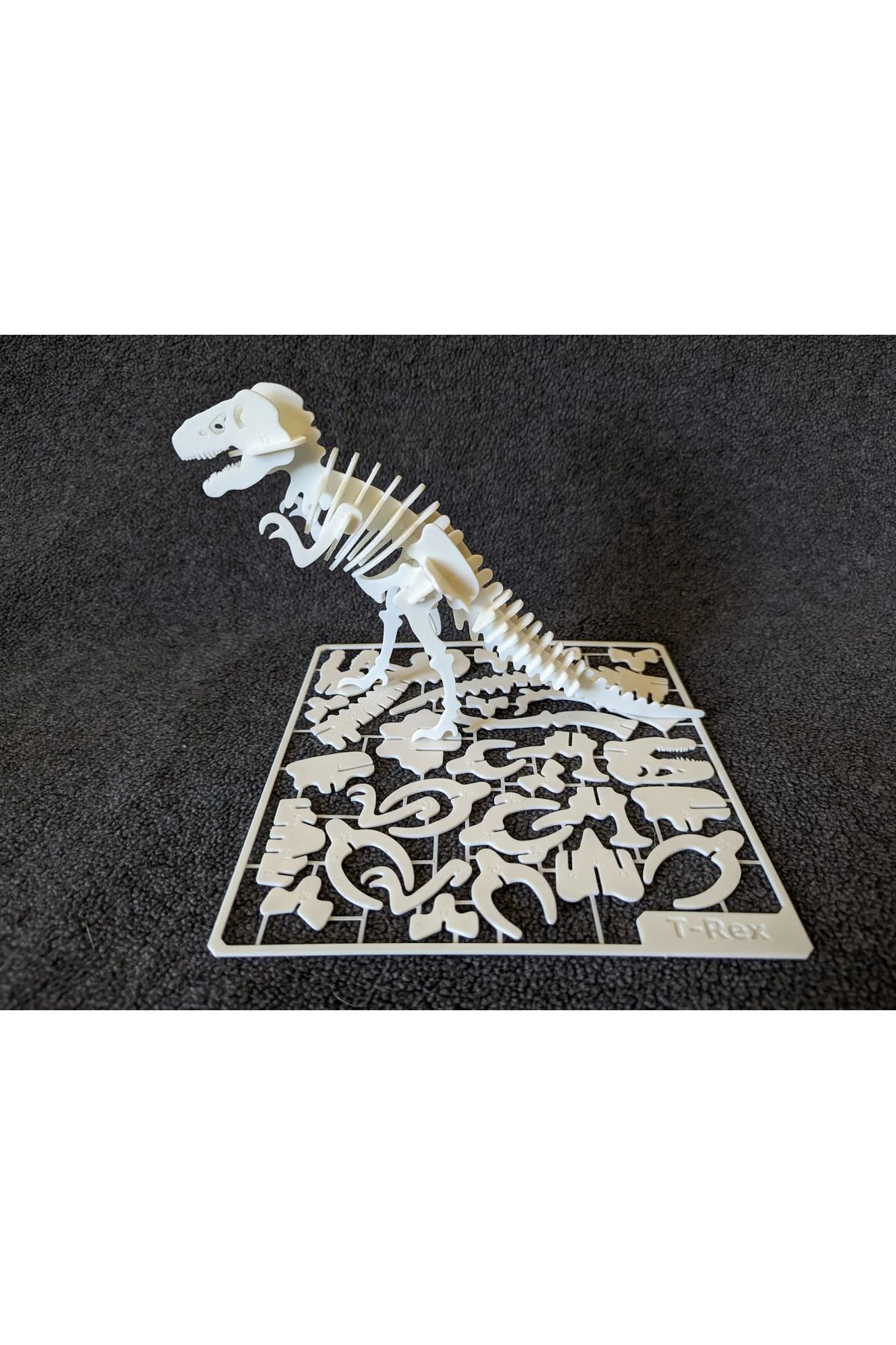 T-REX İSKELET Kit Maket Model & 3D Puzzle - 12cm