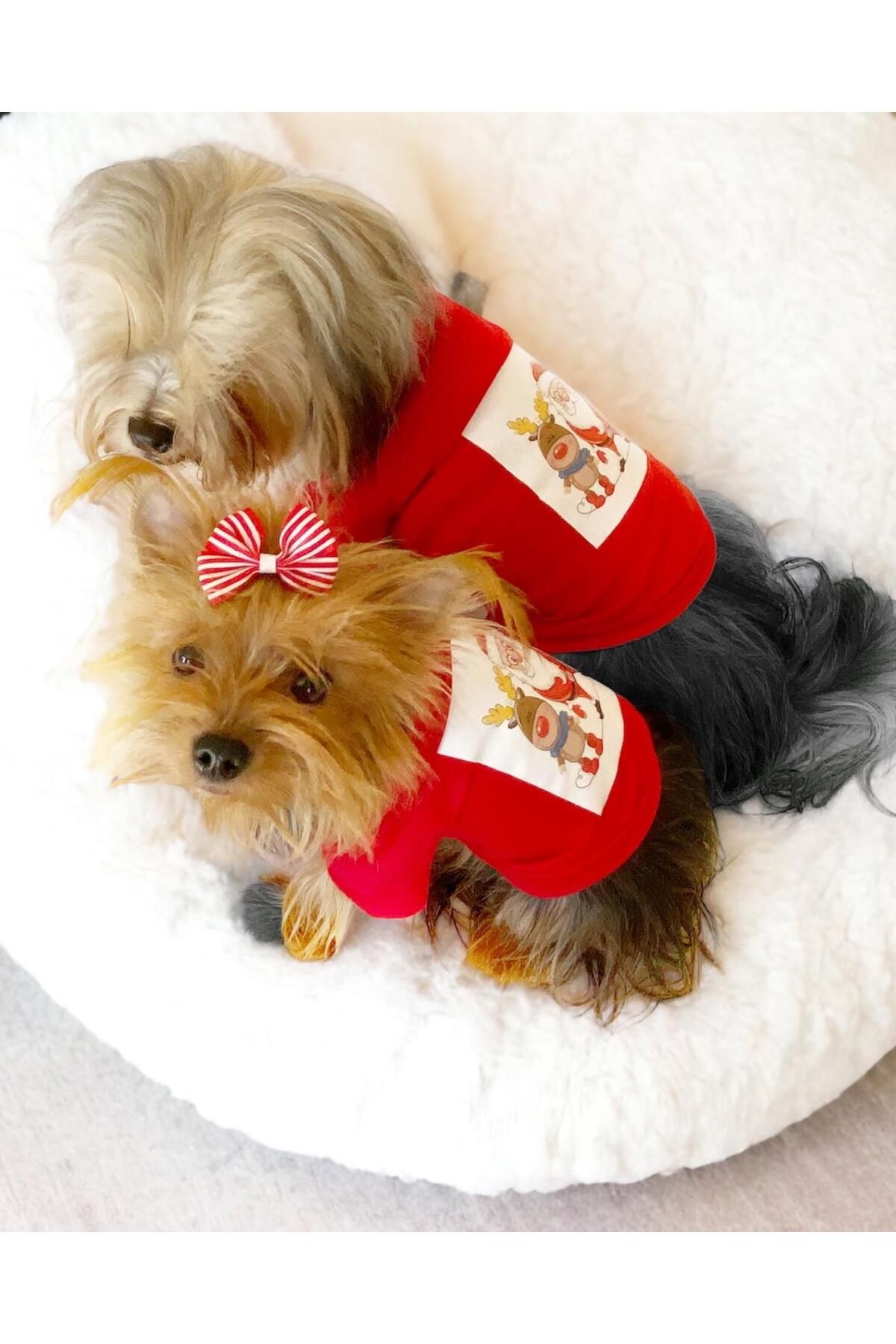 Santa and Friend Rudolph Köpek Tişörtü Yılbaşı Noel Christmas Köpek Elbisesi