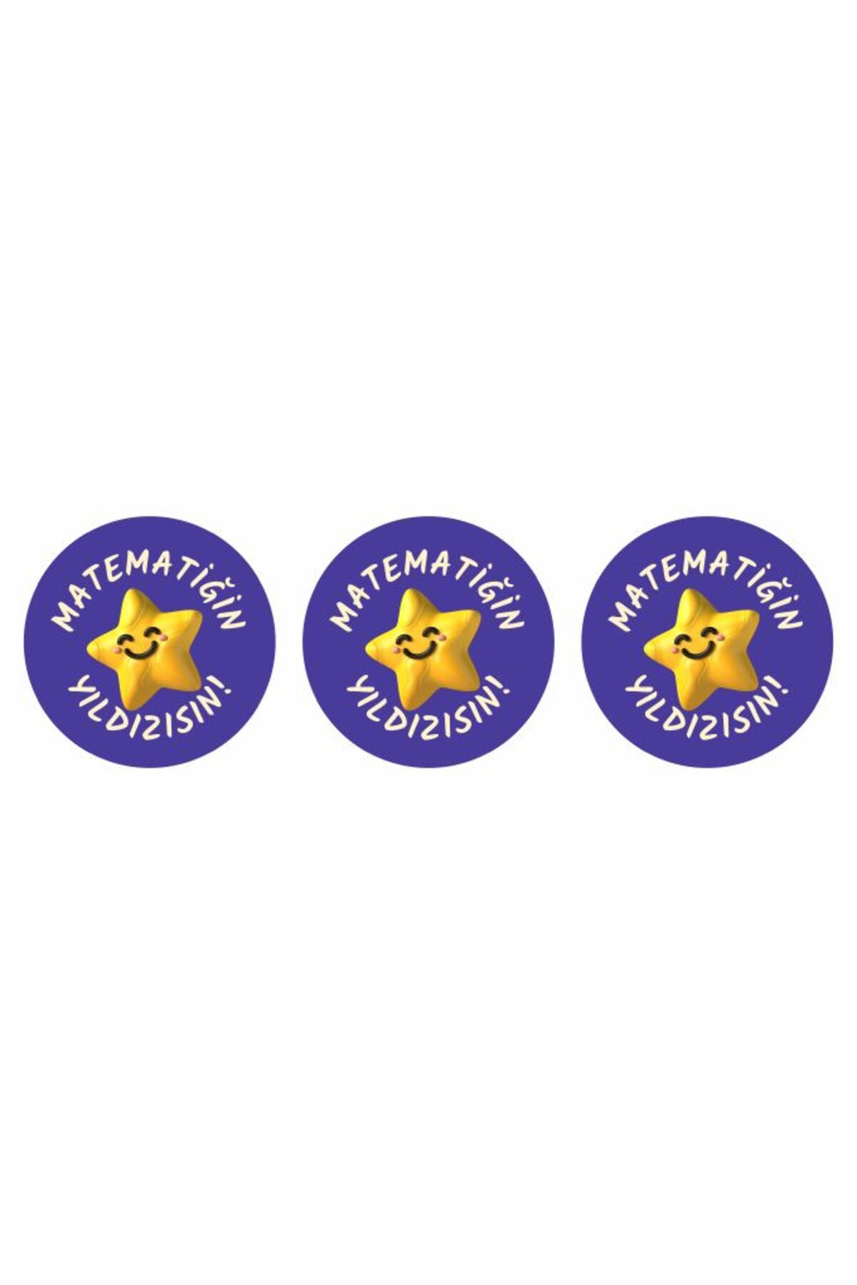 Matematik Yıldızısın Sticker Çıkarma Seti ,800 Adet 4 Syf Okul Tebrik Stickerı ,Öğretmen Sticker