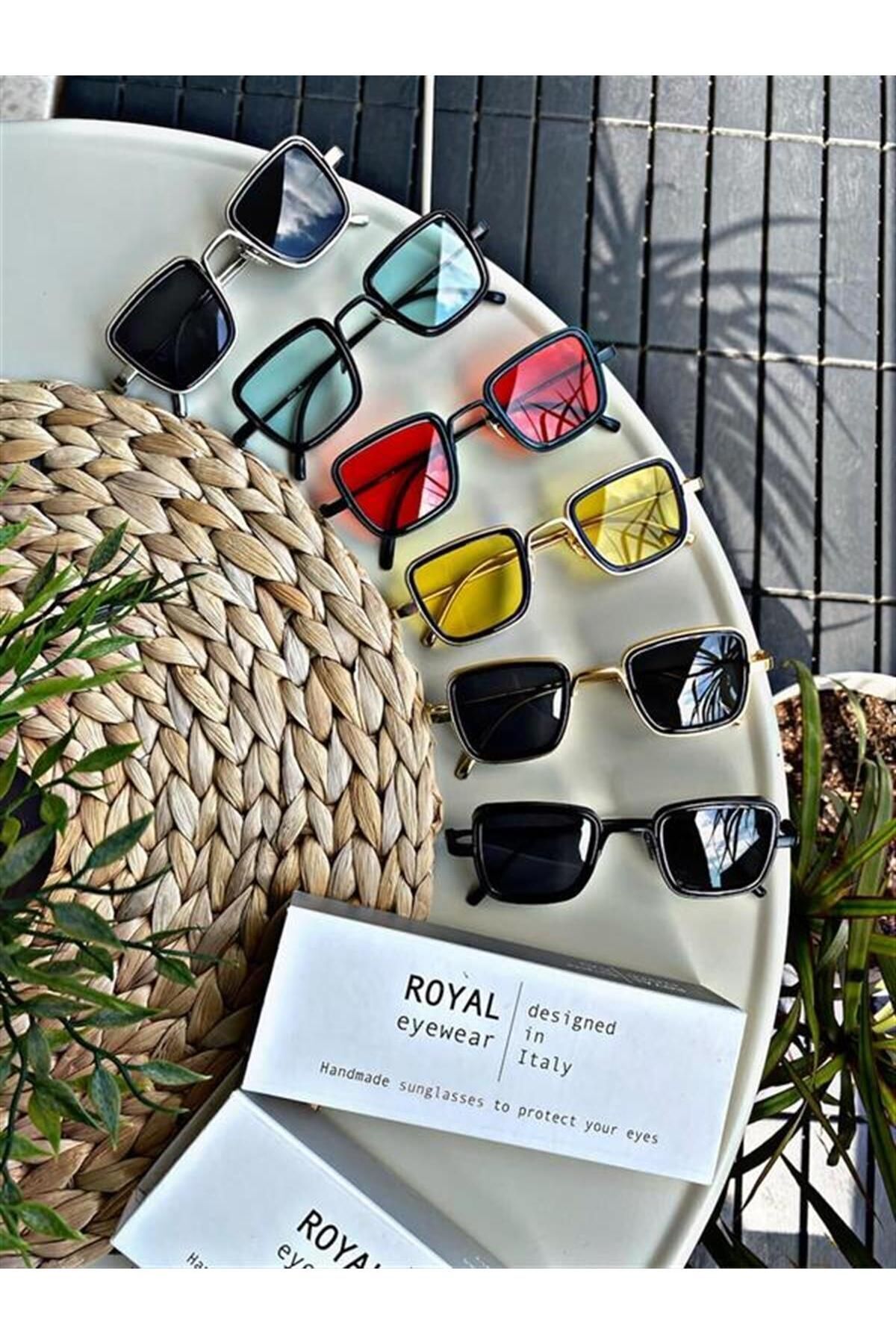 Royal Eyewear Ex657 Siyah Kahverengi Güneş Gözlüğü