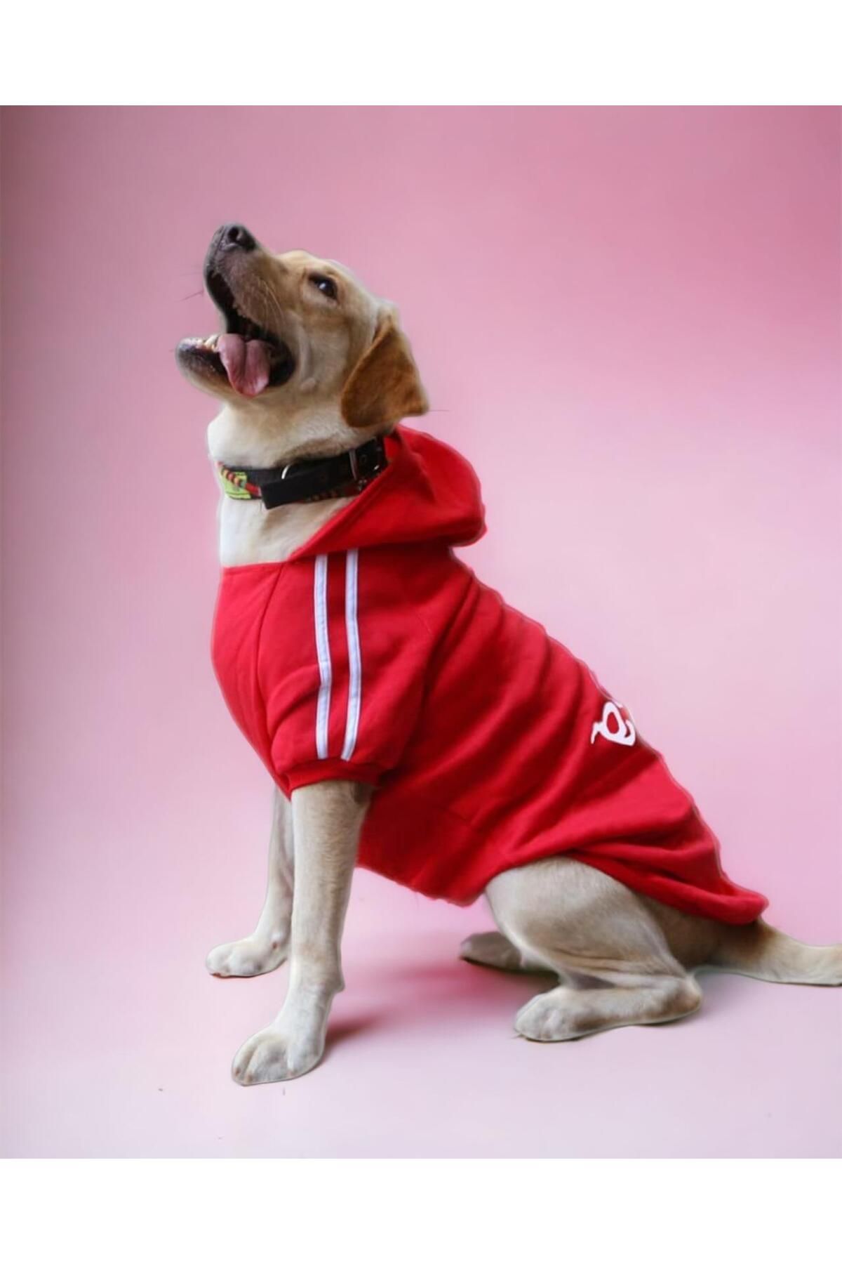 Kırmızı Adidog 10-45kg Köpek Sweatshirt, Hoodie, Orta Ve Büyük Irklar Için