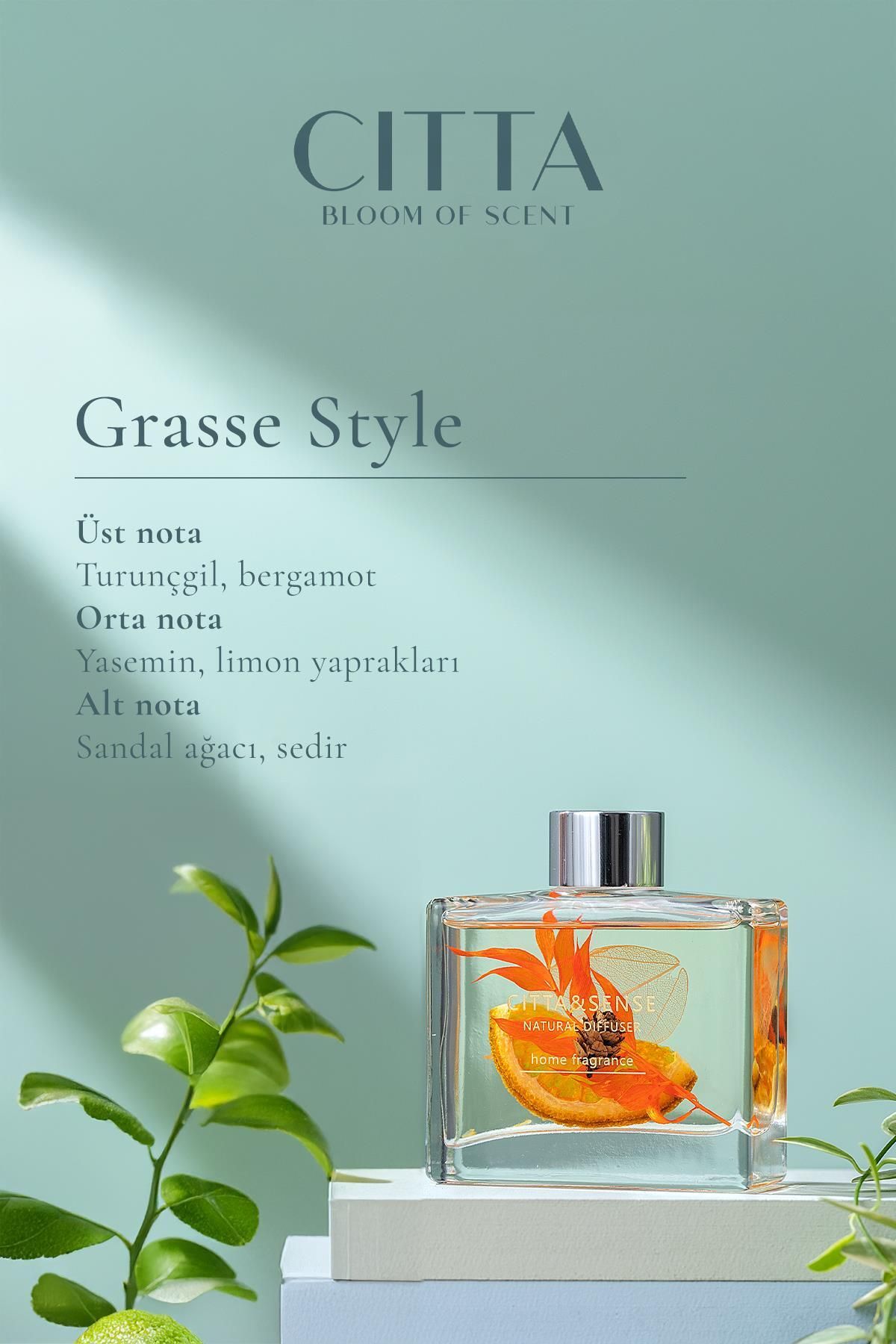 Bloom of Scent | Dream Serisi | Grasse Style Oda Kokusu | 120 ml Oda Kokusu