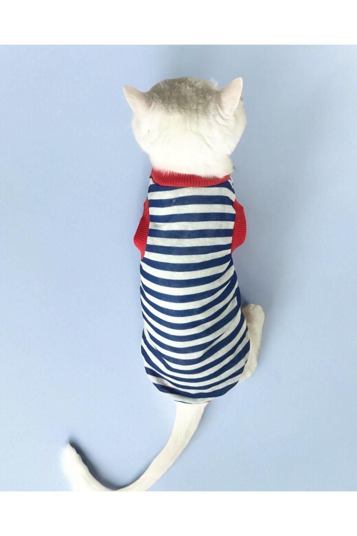 Cat Nautical Summer Atlet Kedi Kıyafeti (2xlarge / 5,5 - 7 Kg )