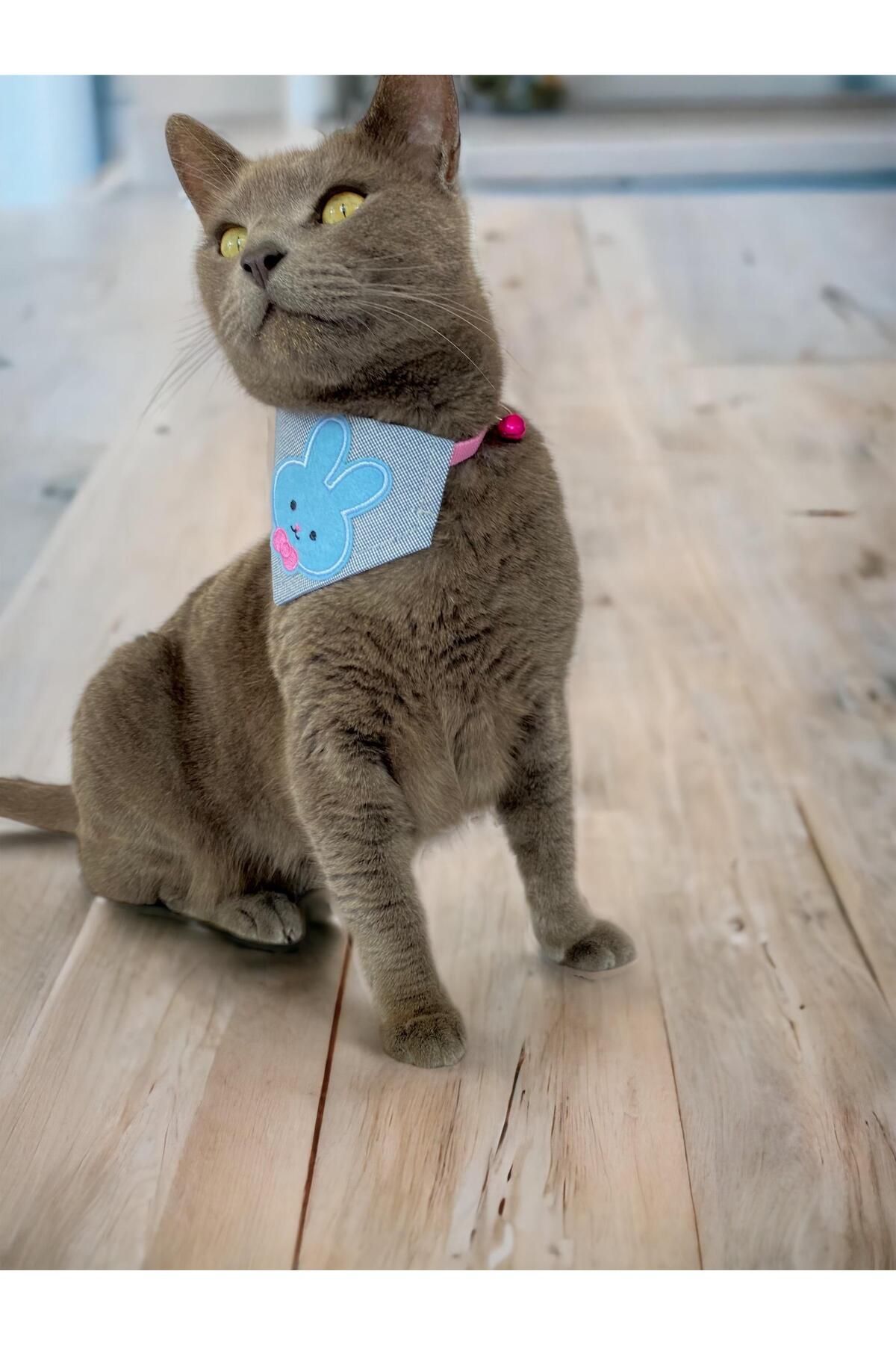 Blue Bunny Kedi Bandana, Fular, Kedi Kıyafeti Kedi Elbisesi, Kedi Tasması