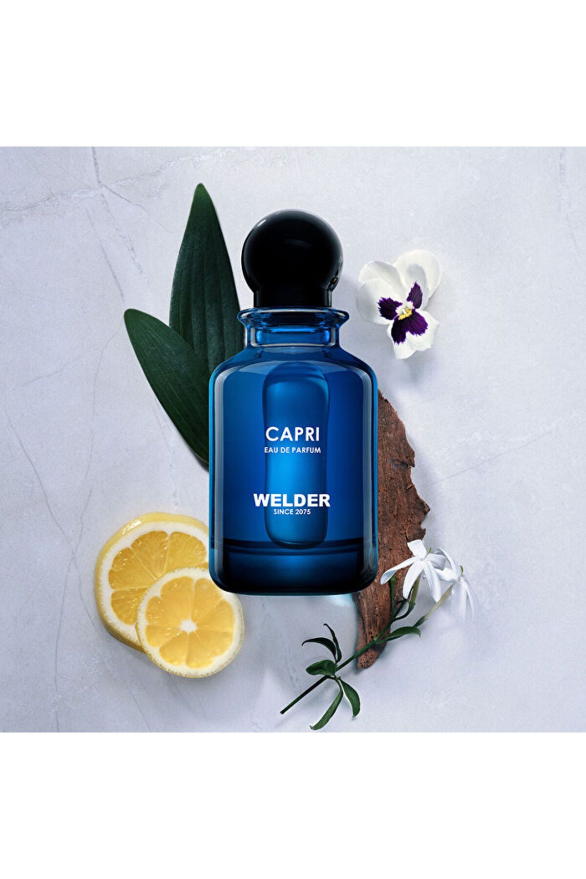 Welder Wwp4001 Caprı 100 ml Edp