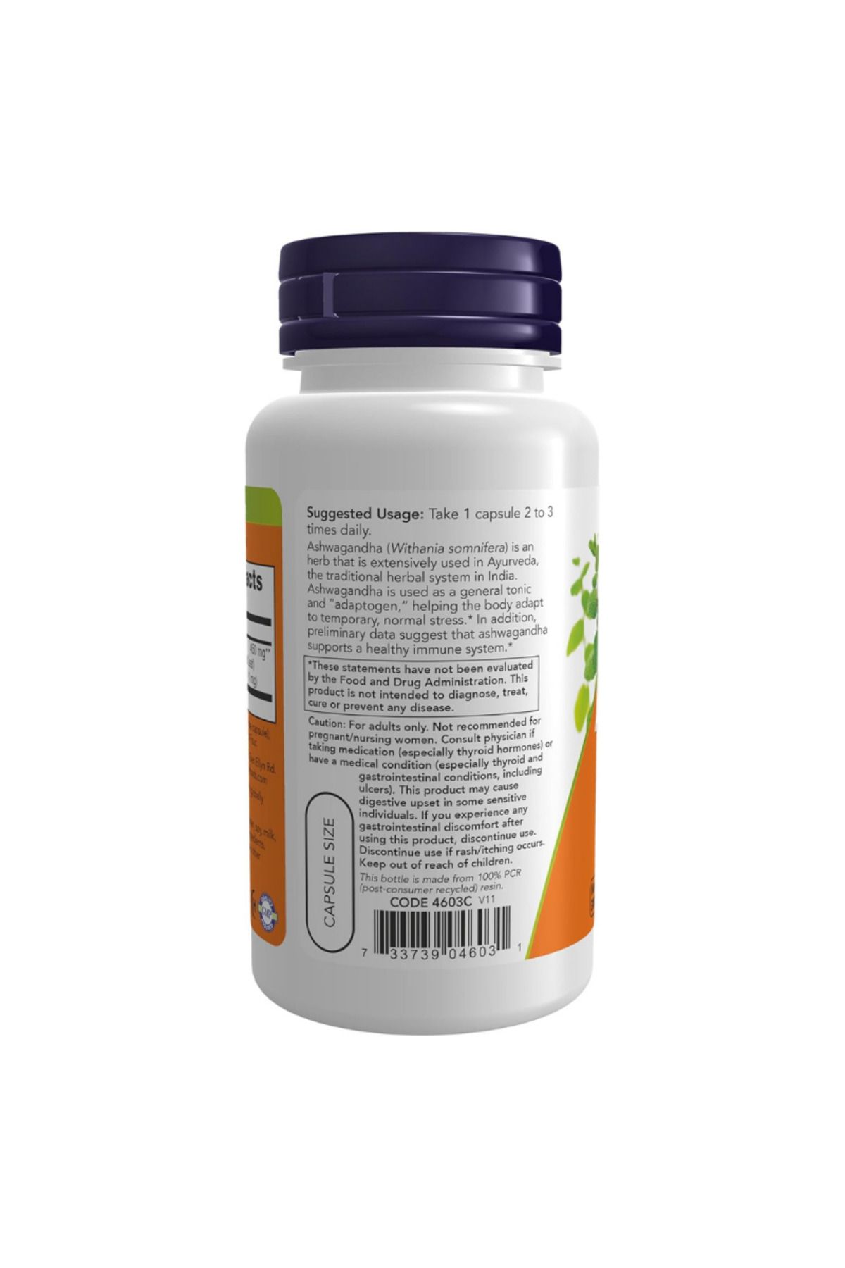 Ashwaganda Extract 90 Capsules