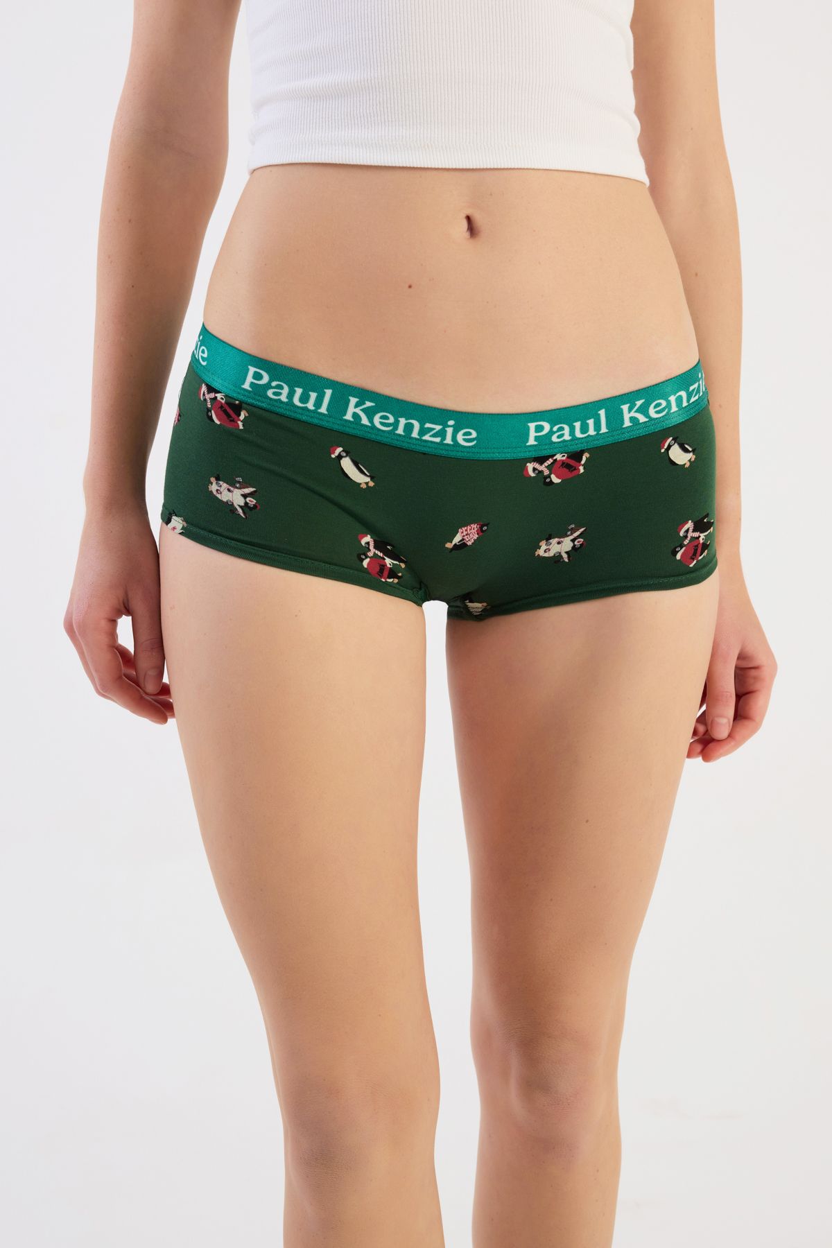 Christmas Collection - Kadın Boyshort Külot - Pengu in Wonderland